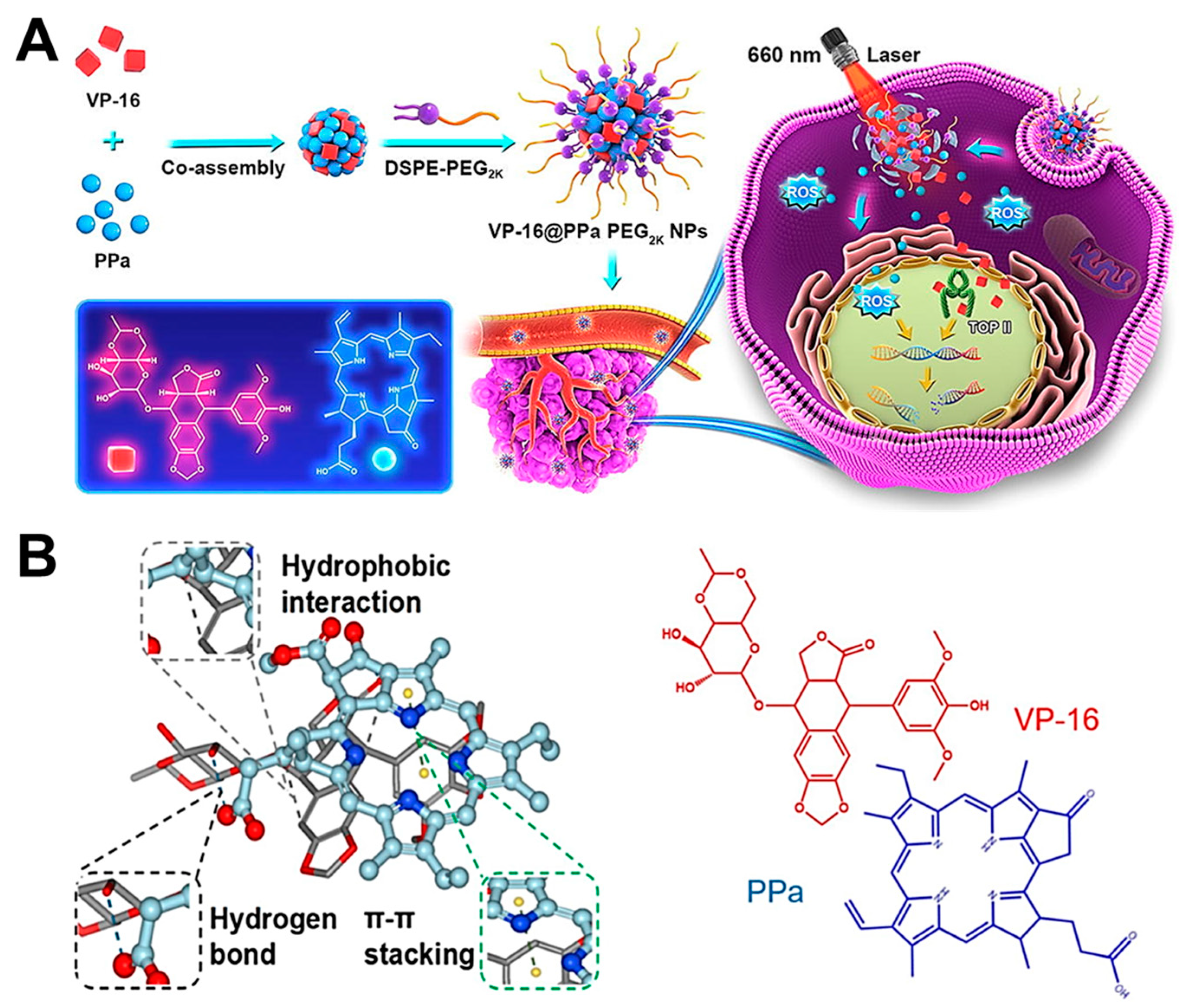 Molecules 28 07065 g004