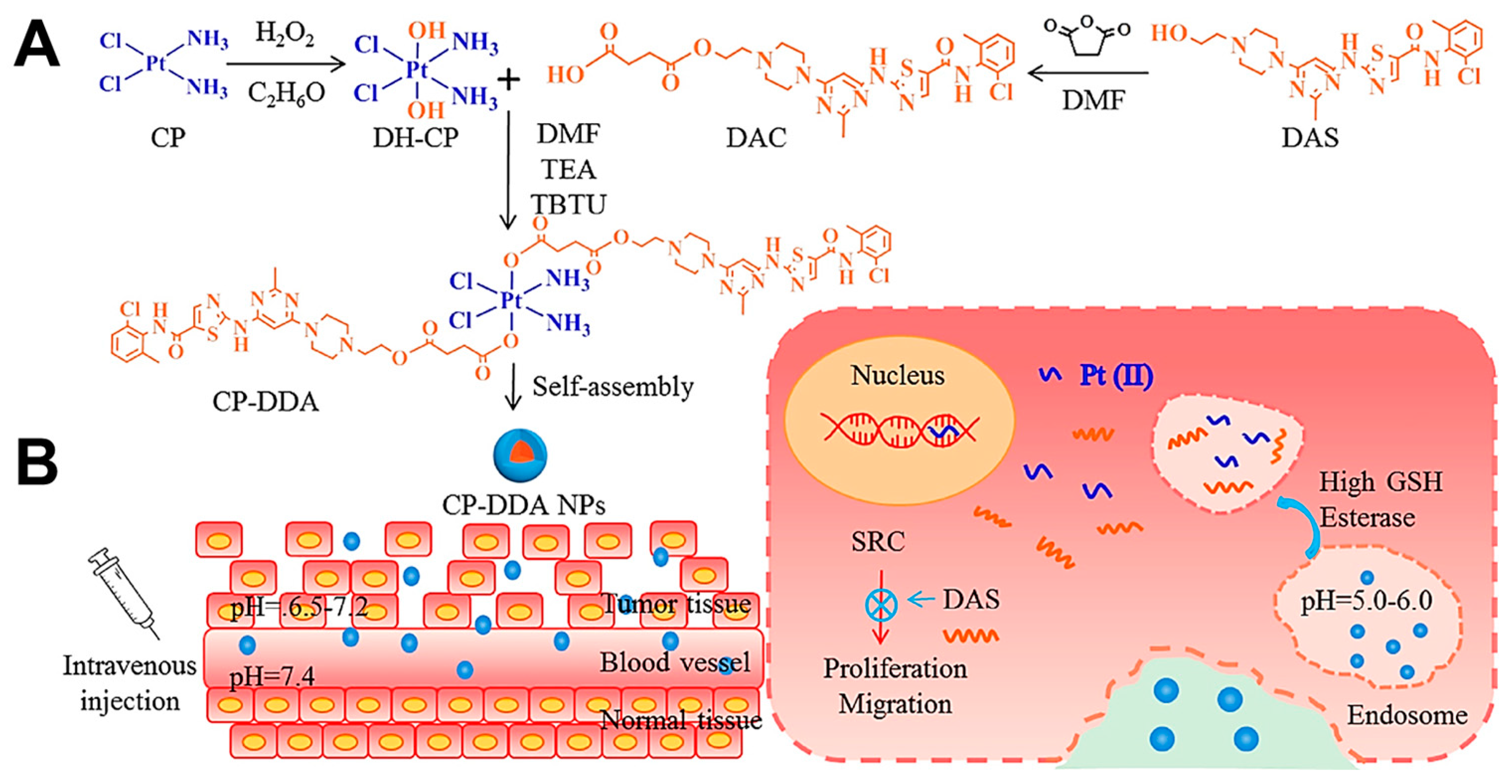 Molecules 28 07065 g007
