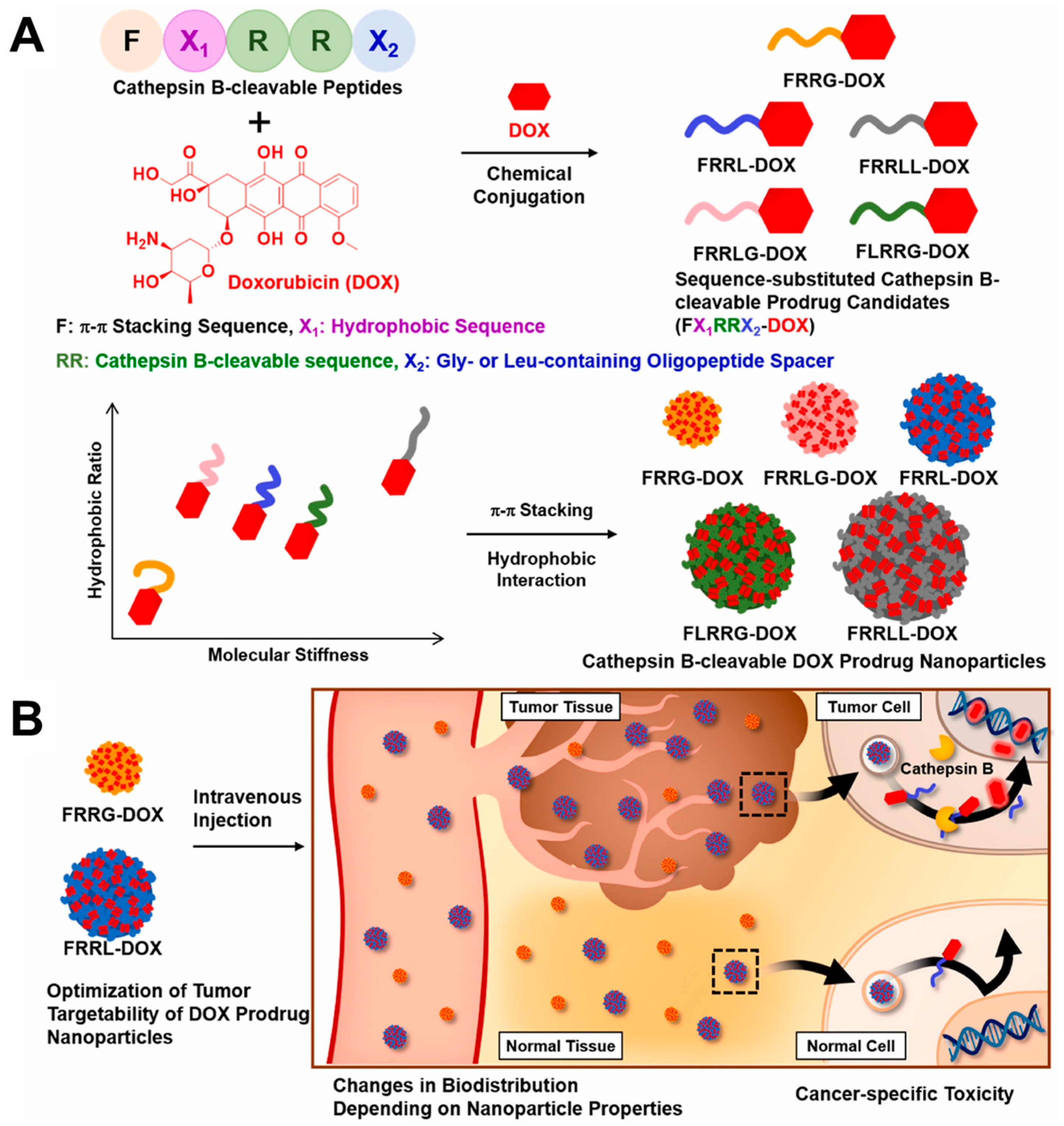 Molecules 28 07065 g008
