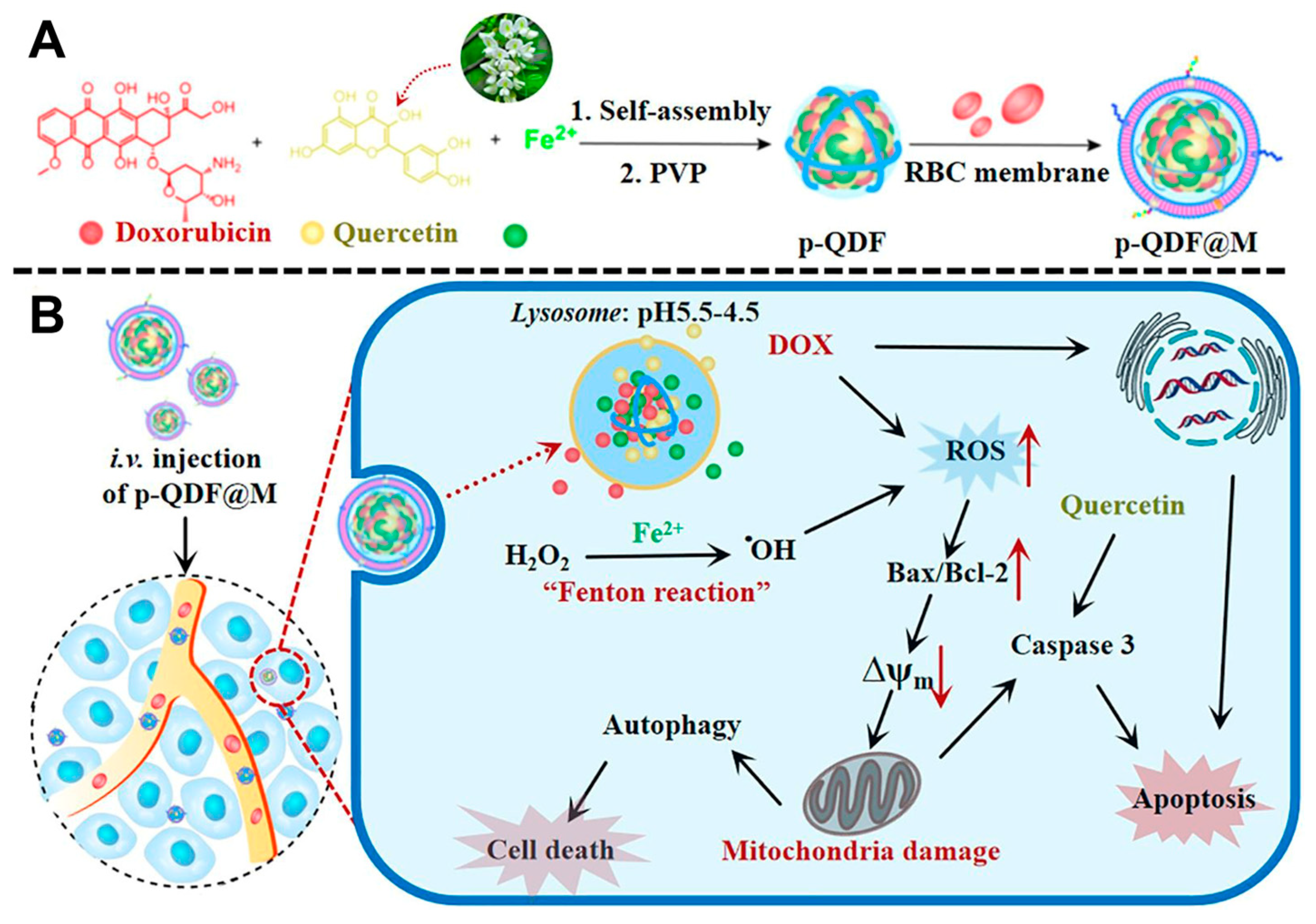 Molecules 28 07065 g009