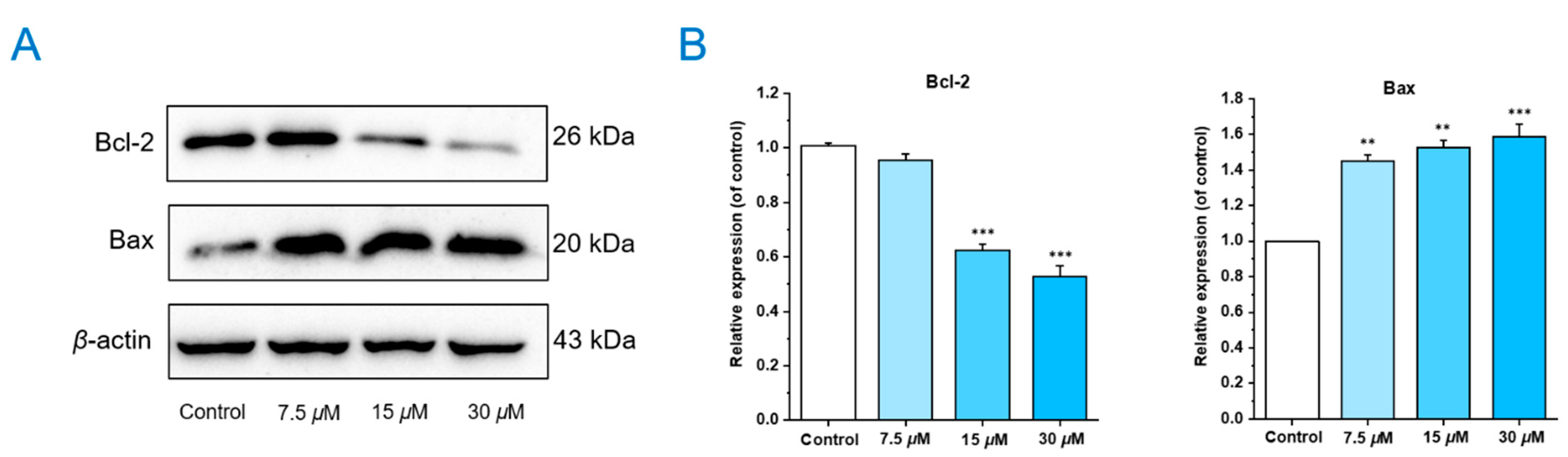 Molecules 28 07070 g005