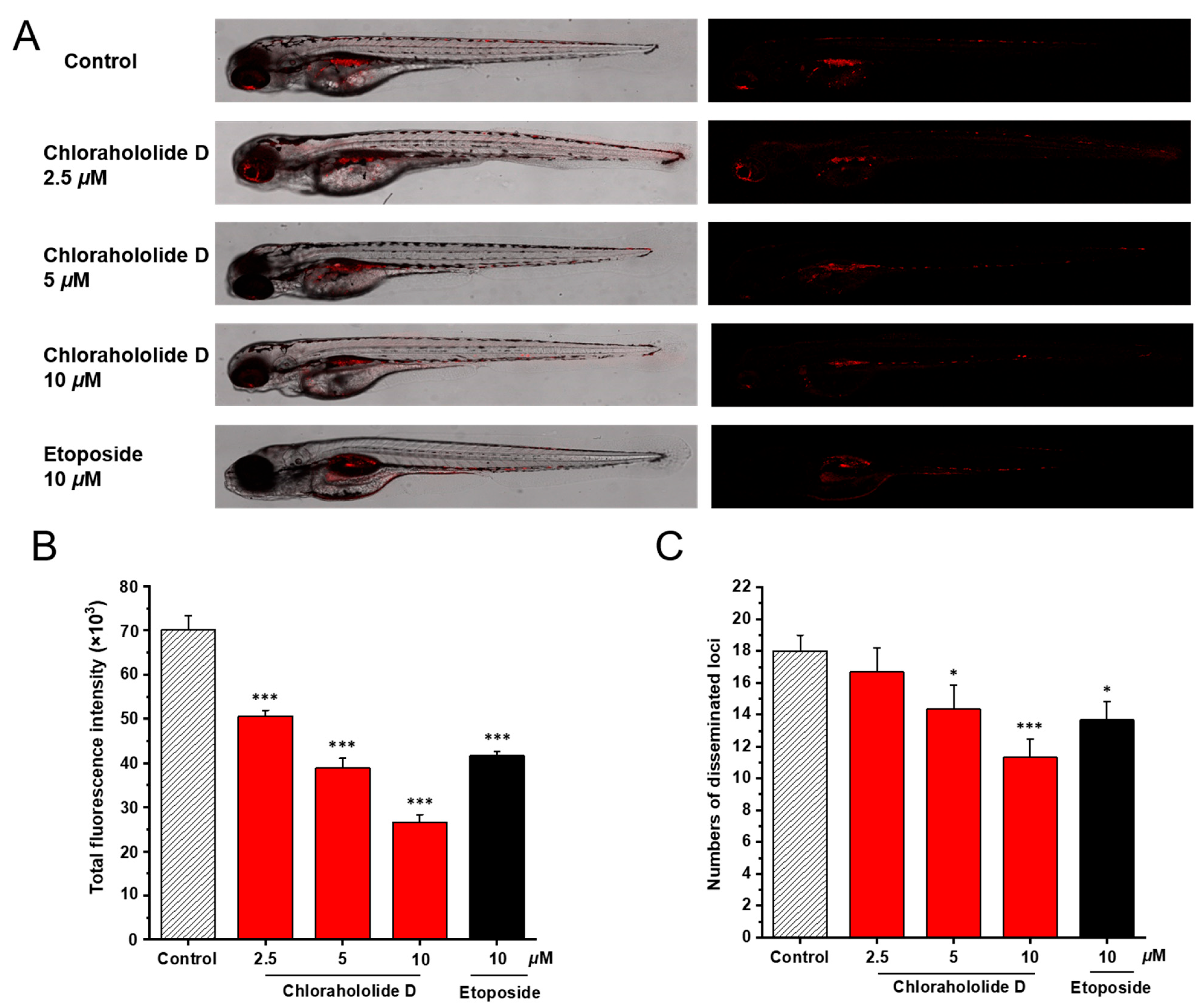 Molecules 28 07070 g007