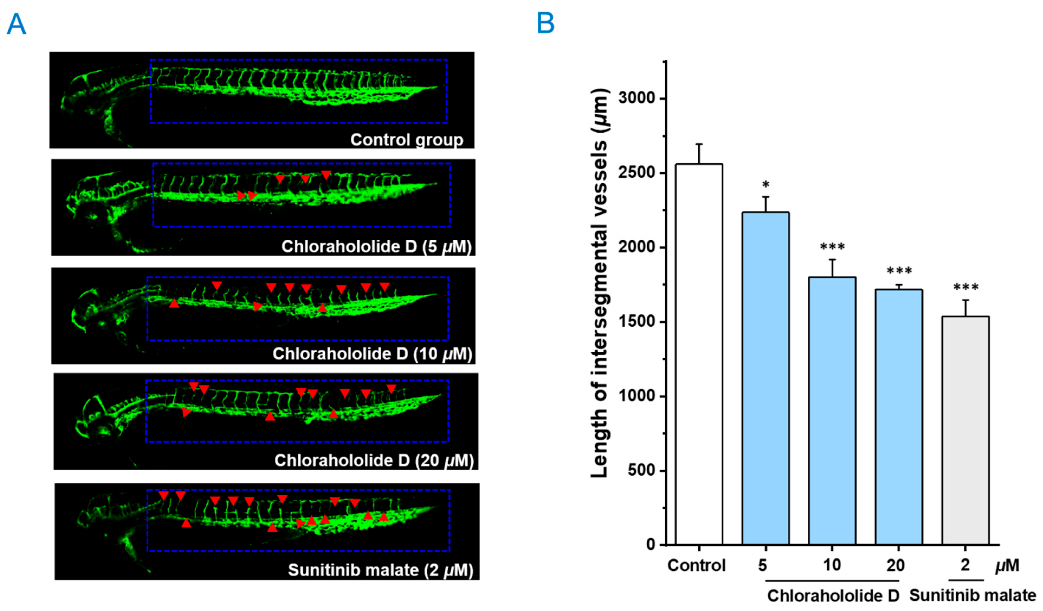 Molecules 28 07070 g008