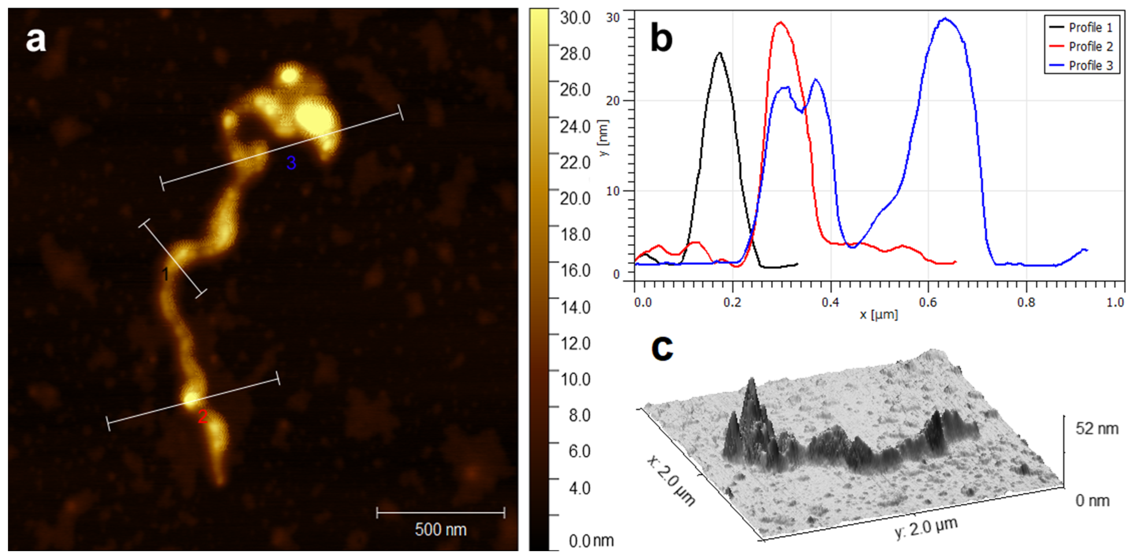 Molecules 28 07076 g004