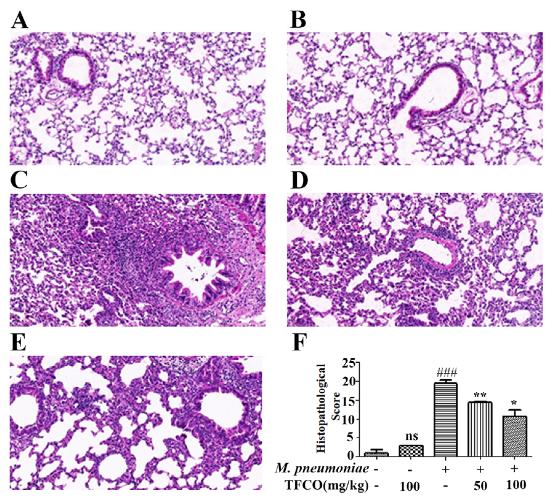 Molecules 28 07077 g002