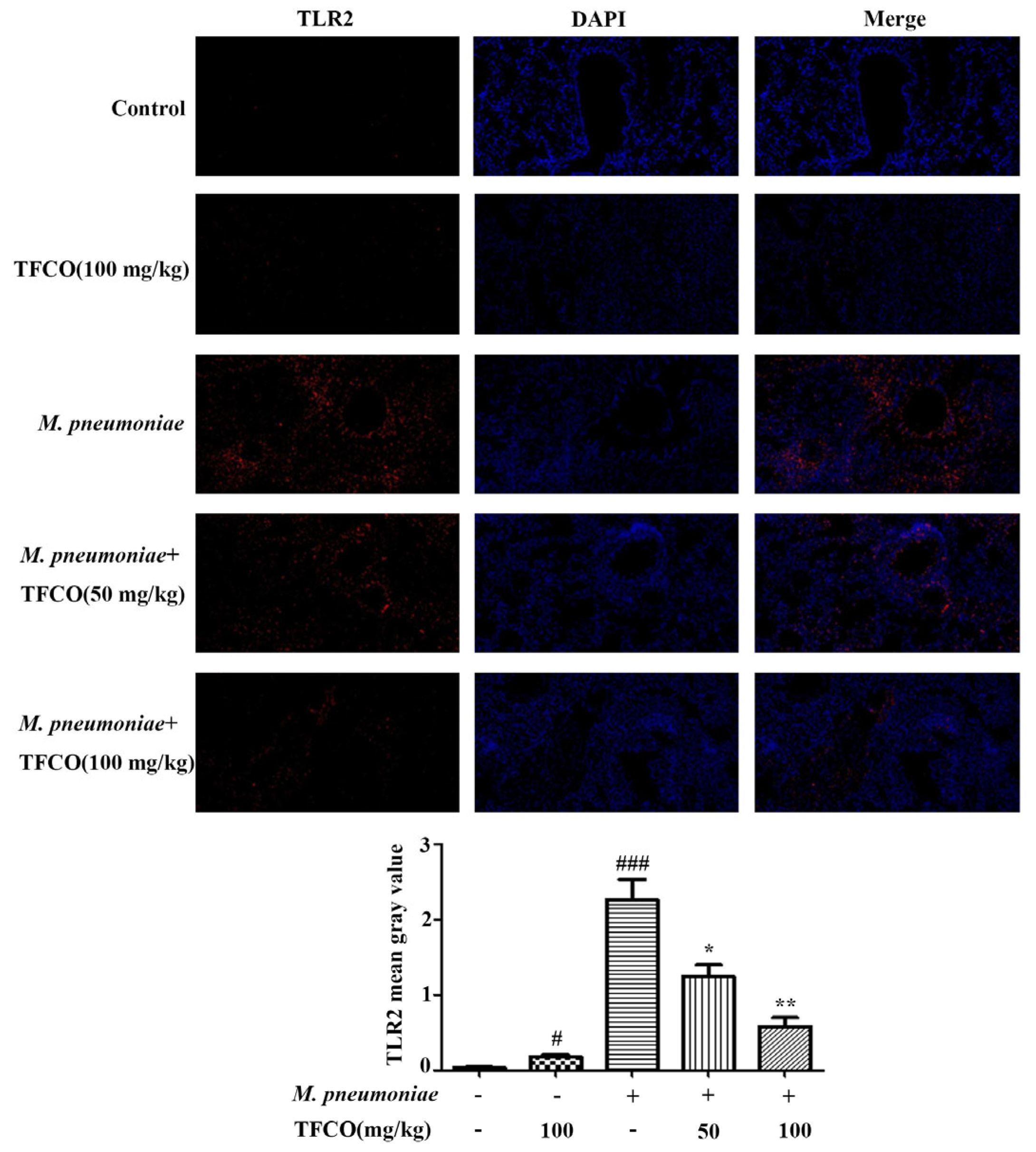 Molecules 28 07077 g004