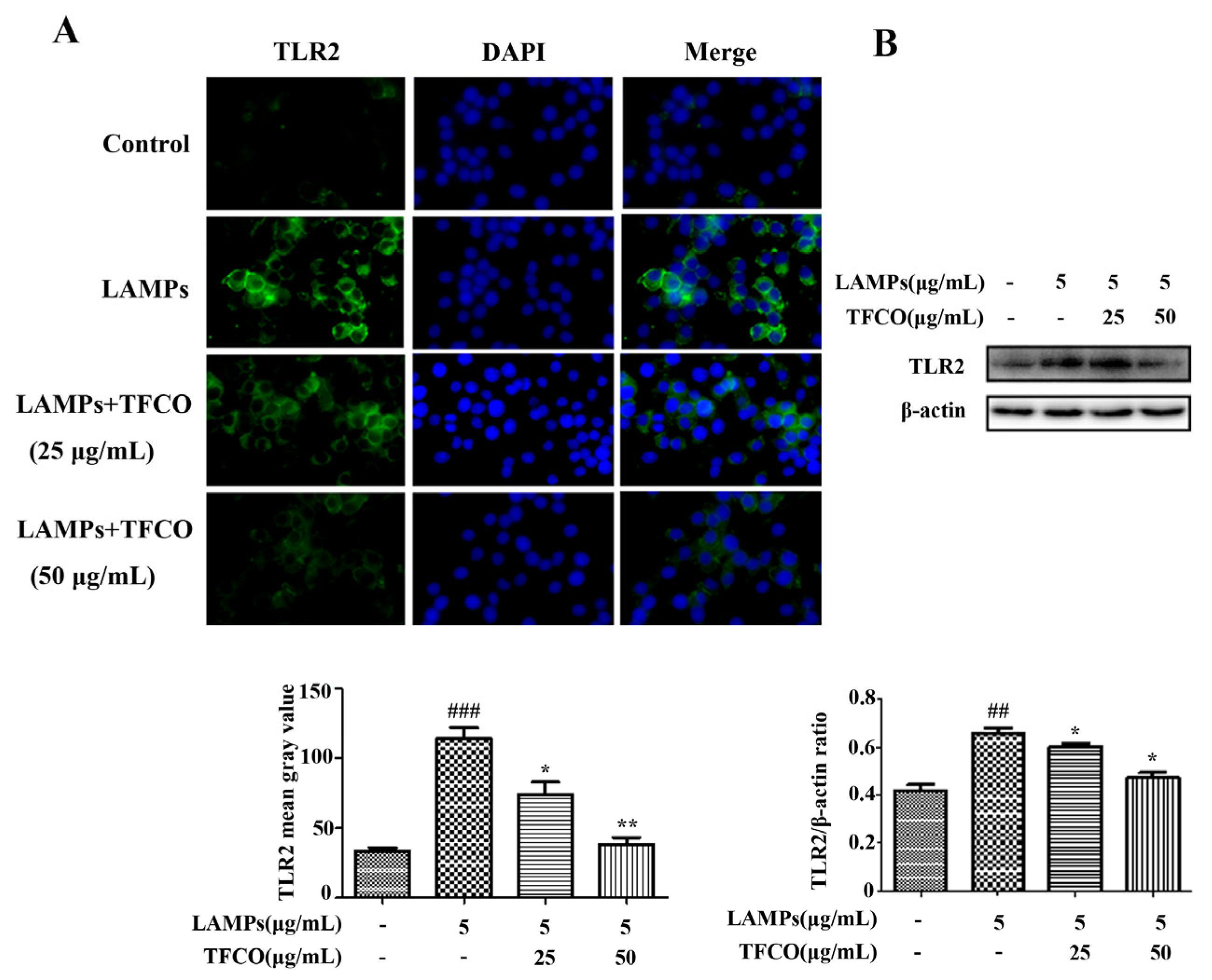 Molecules 28 07077 g005