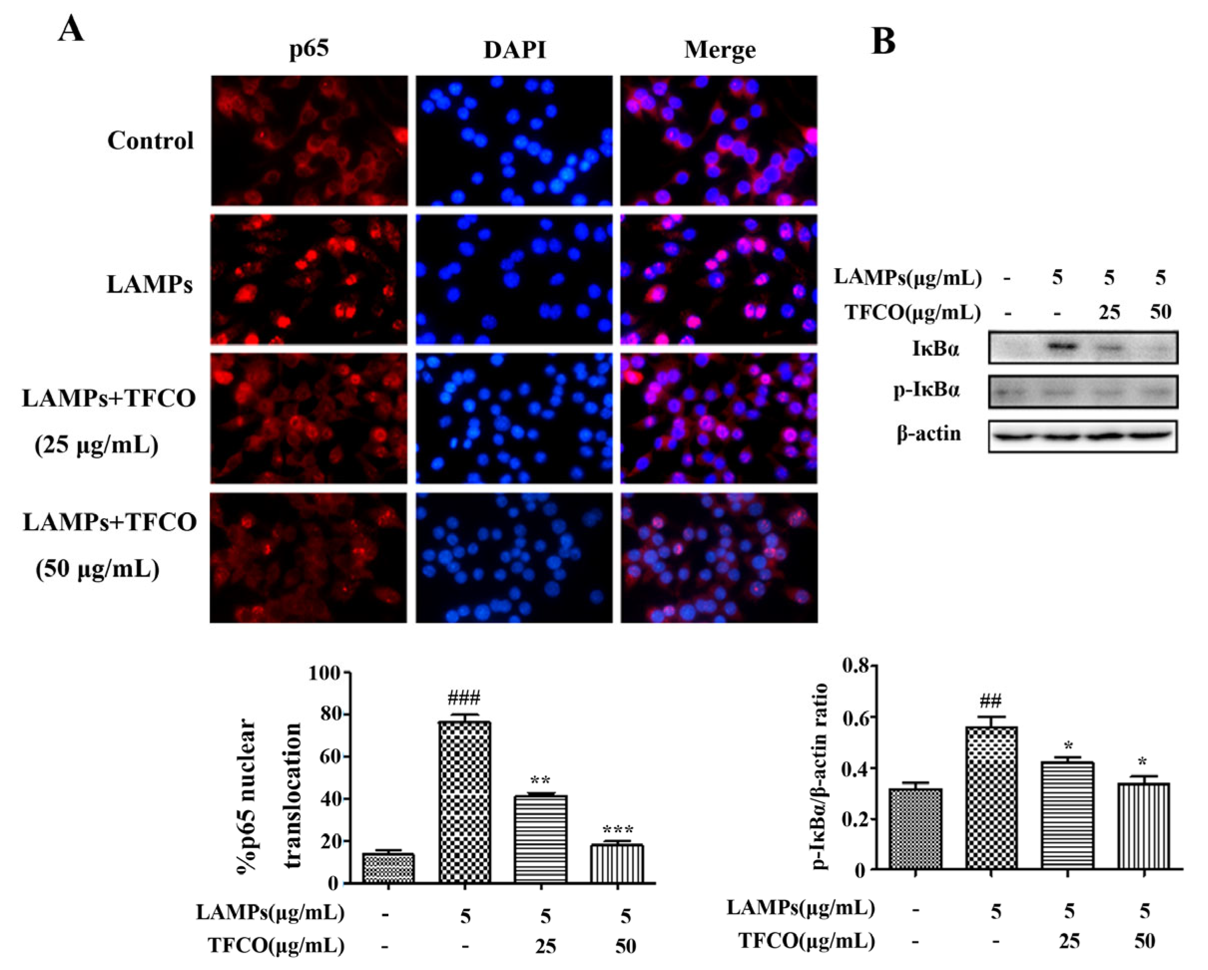Molecules 28 07077 g006