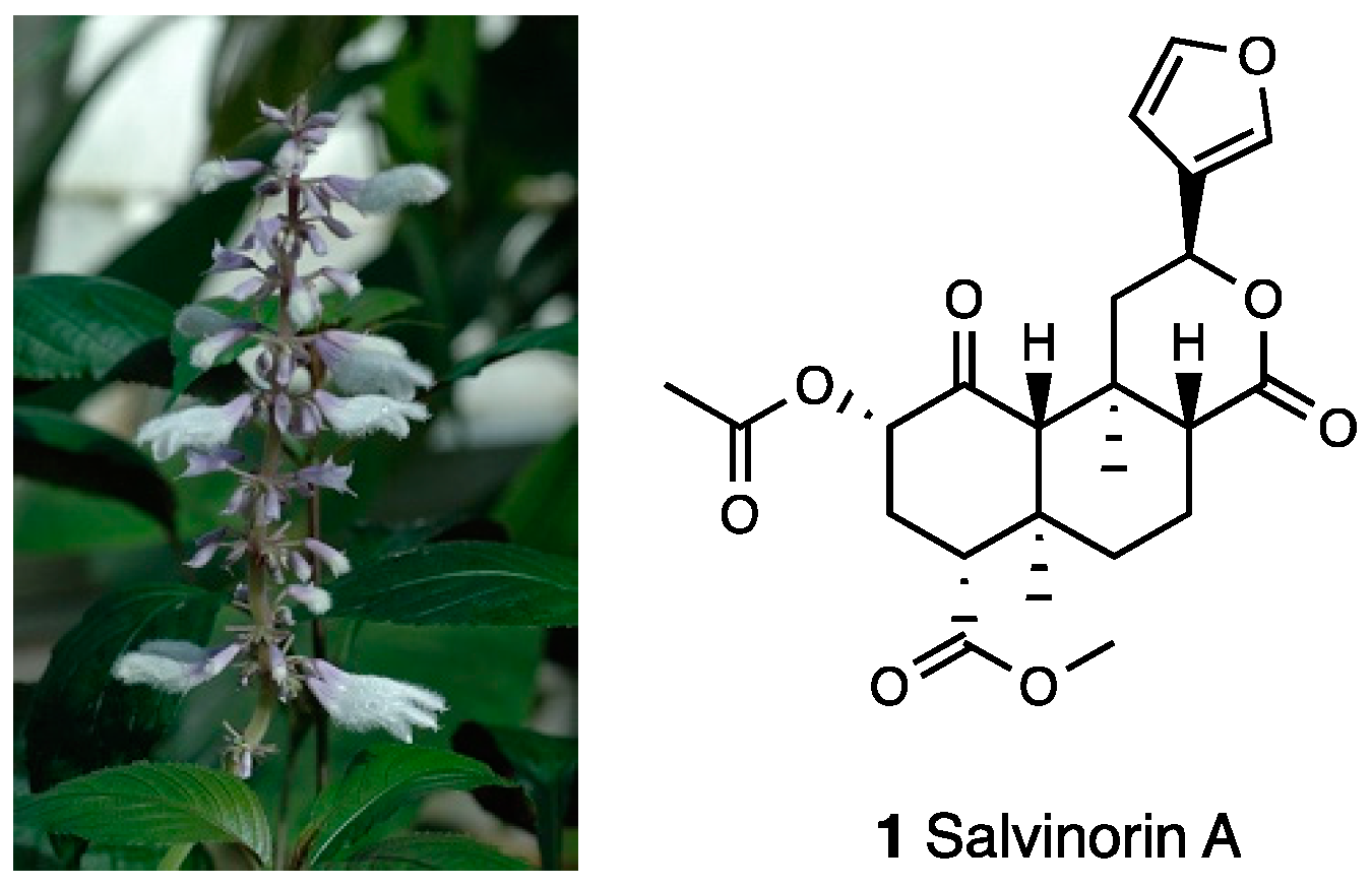Molecules 28 07089 g001