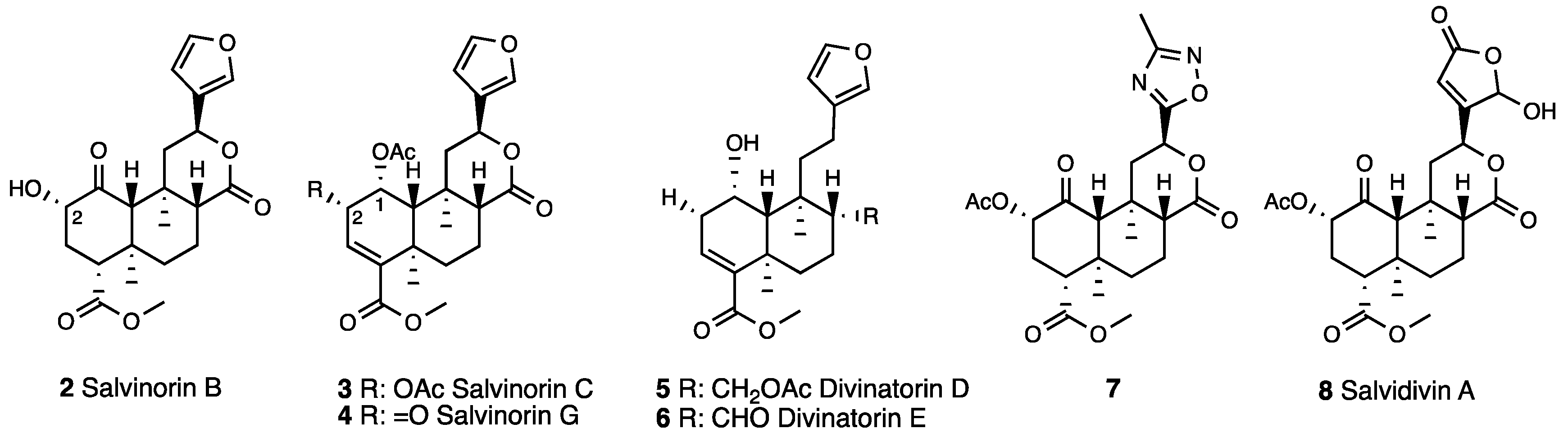 Molecules 28 07089 g002