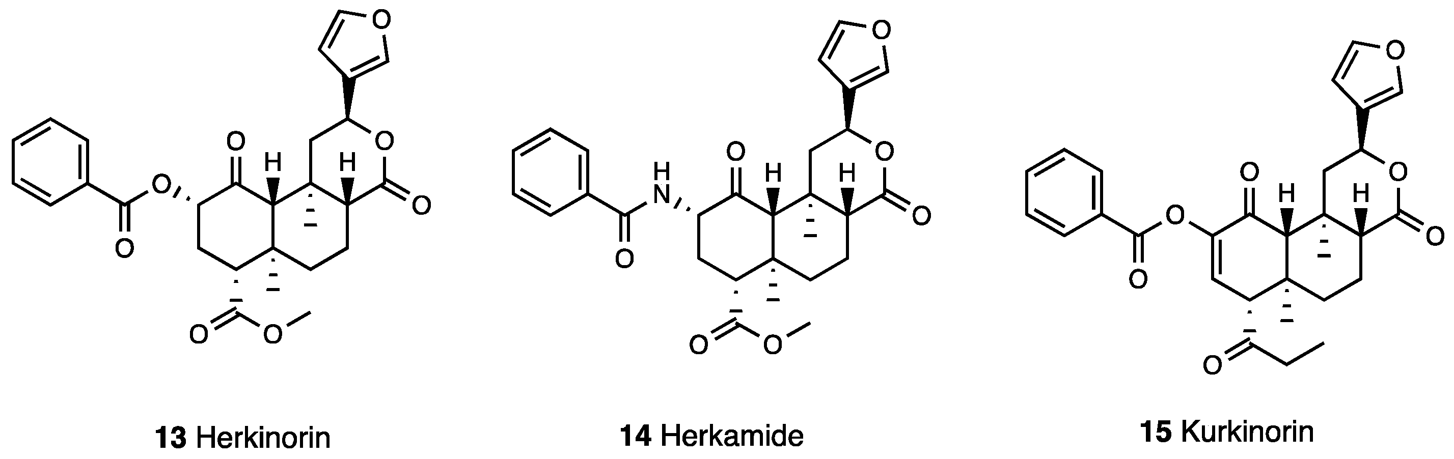 Molecules 28 07089 g004