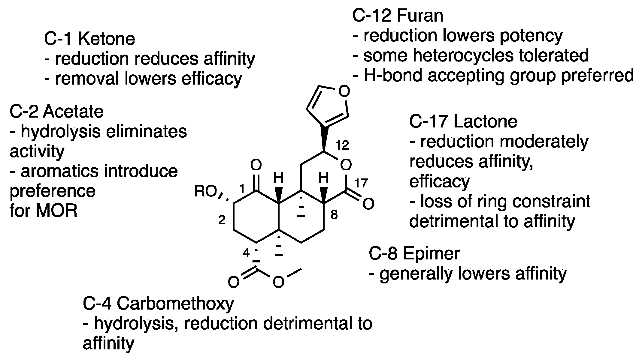 Molecules 28 07089 g006