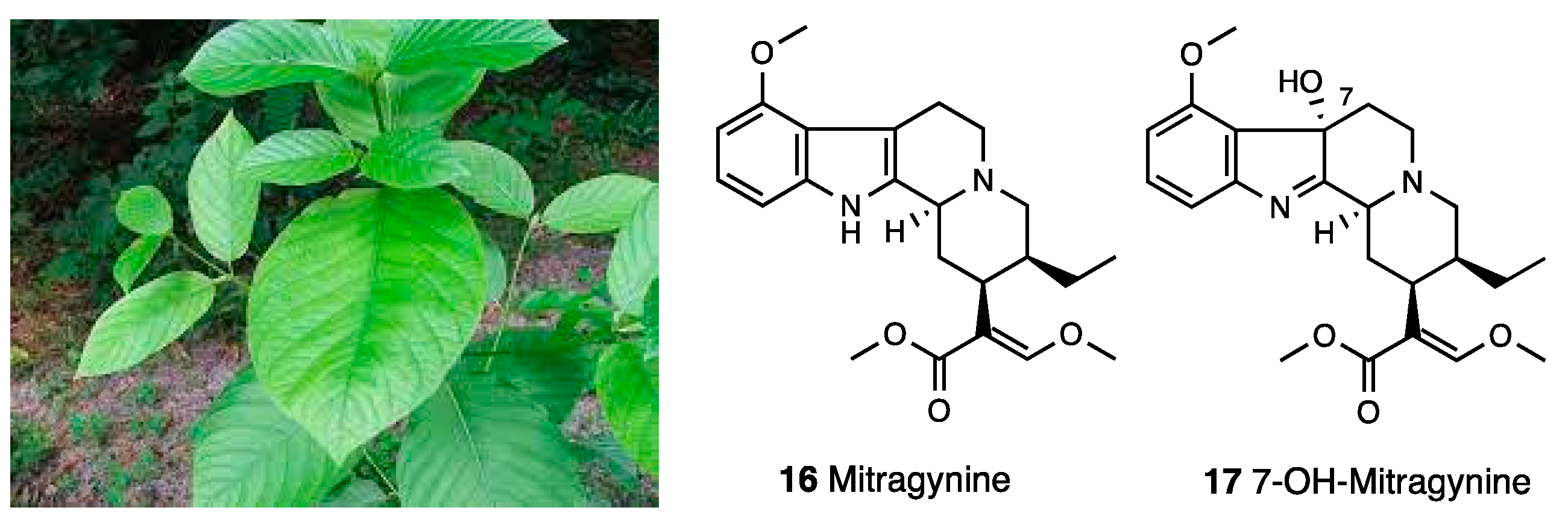 Molecules 28 07089 g007