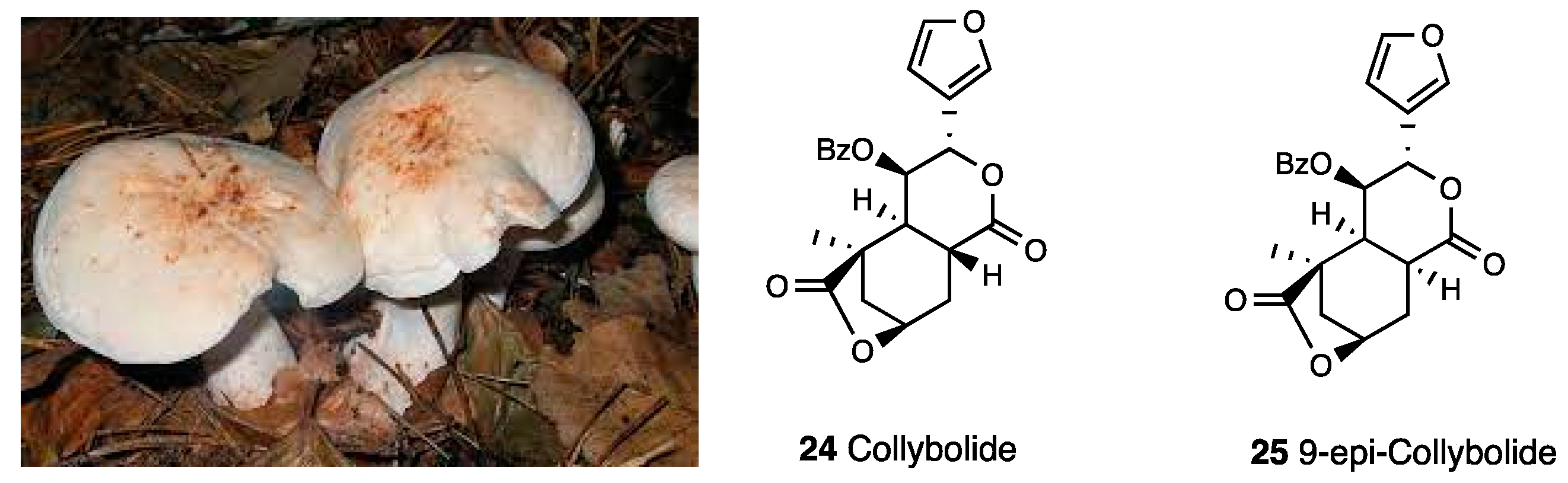 Molecules 28 07089 g010