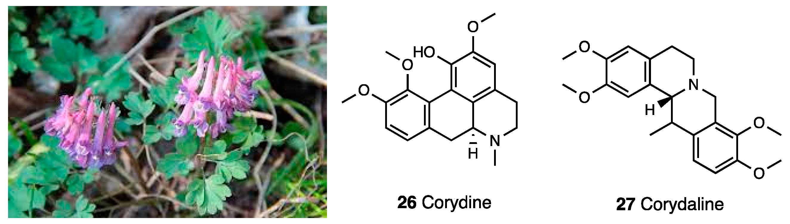 Molecules 28 07089 g011