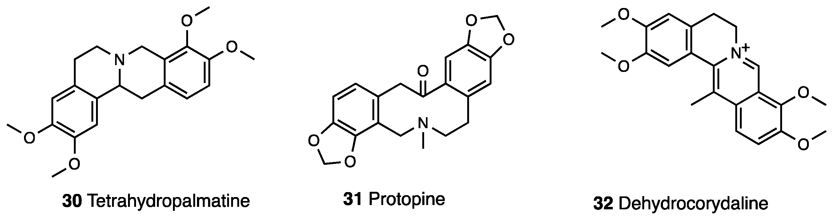 Molecules 28 07089 g013