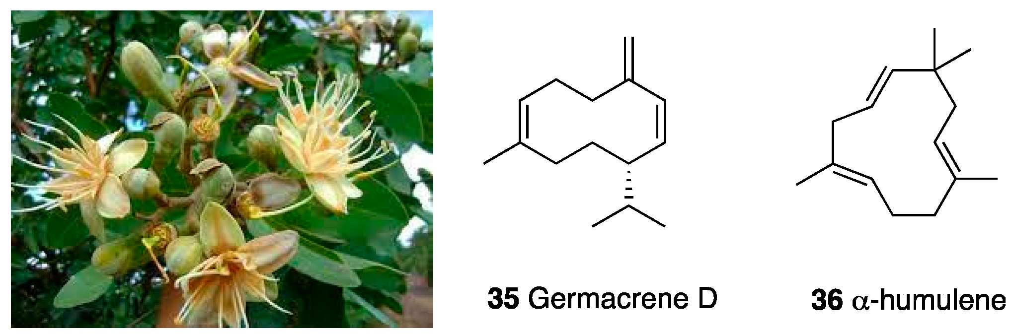 Molecules 28 07089 g015