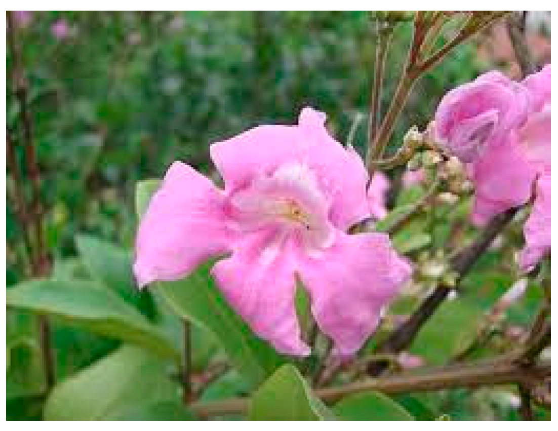 Molecules 28 07089 g018