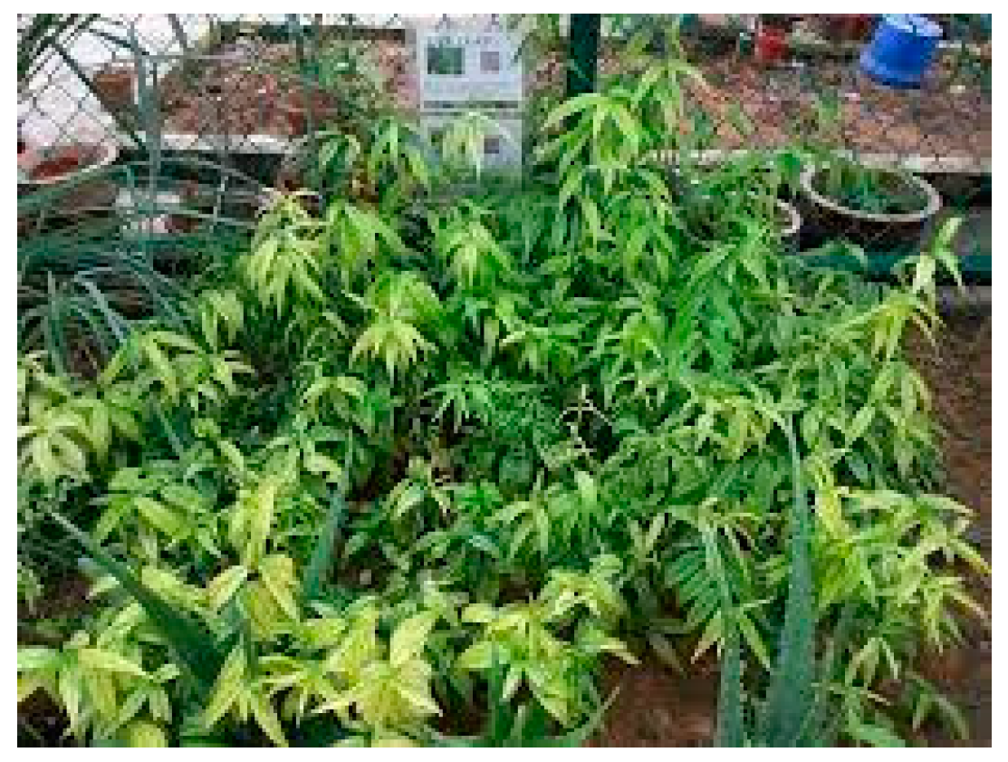 Molecules 28 07089 g022