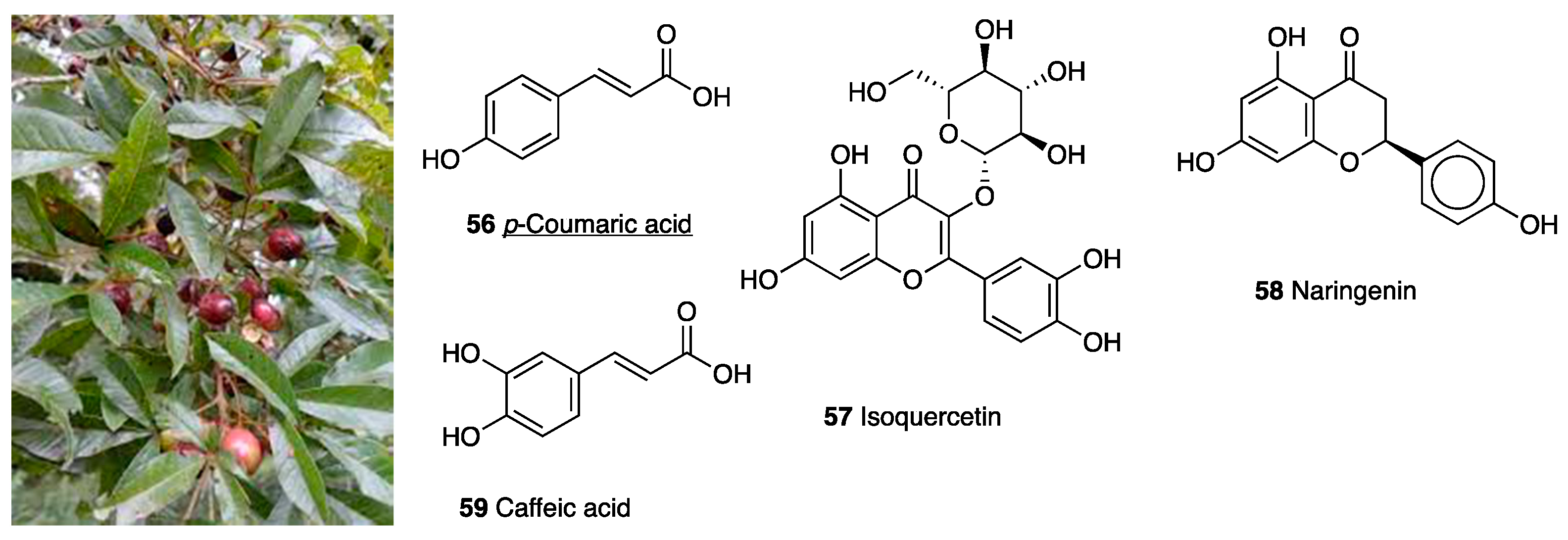 Molecules 28 07089 g025