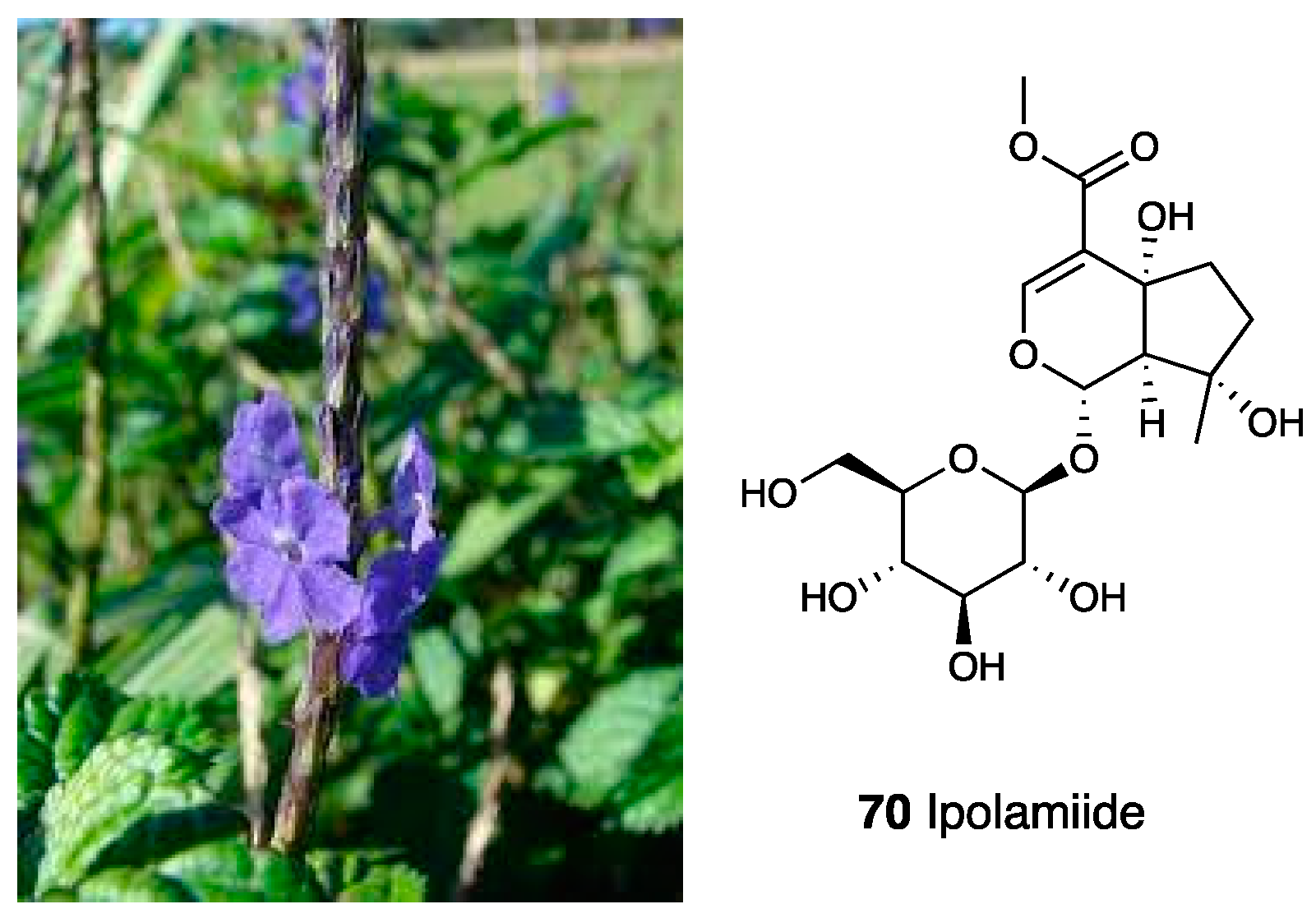 Molecules 28 07089 g030