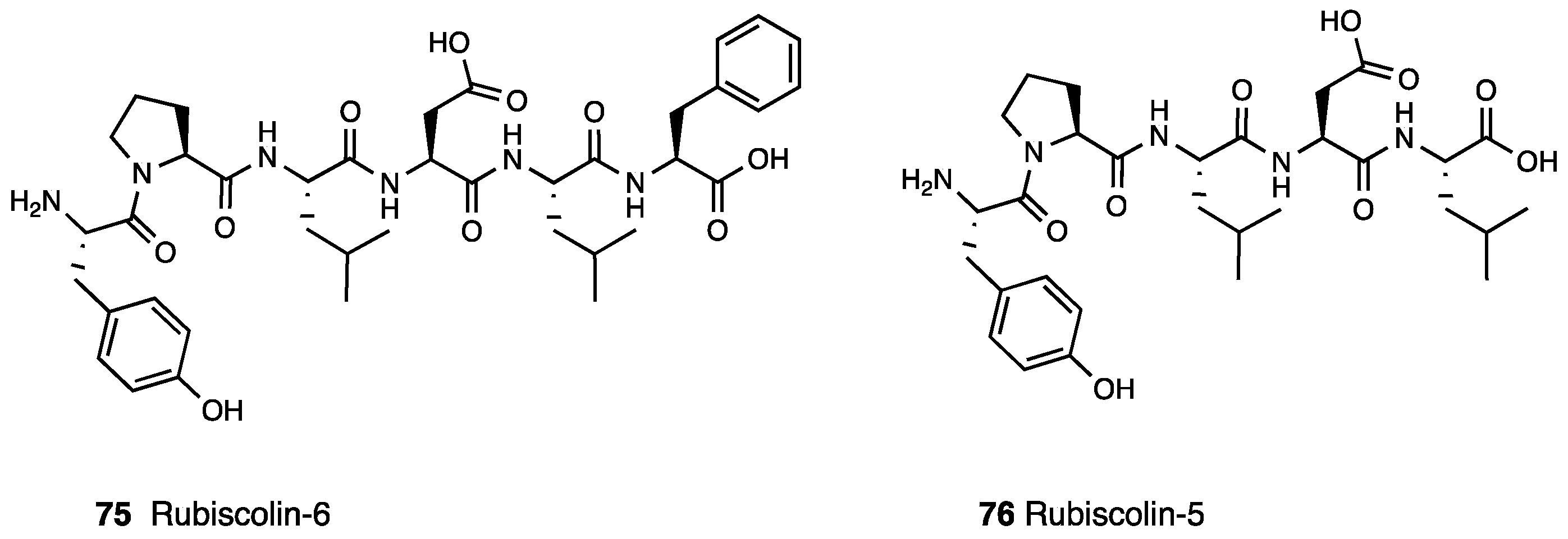 Molecules 28 07089 g032