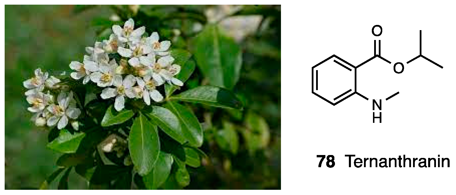 Molecules 28 07089 g034