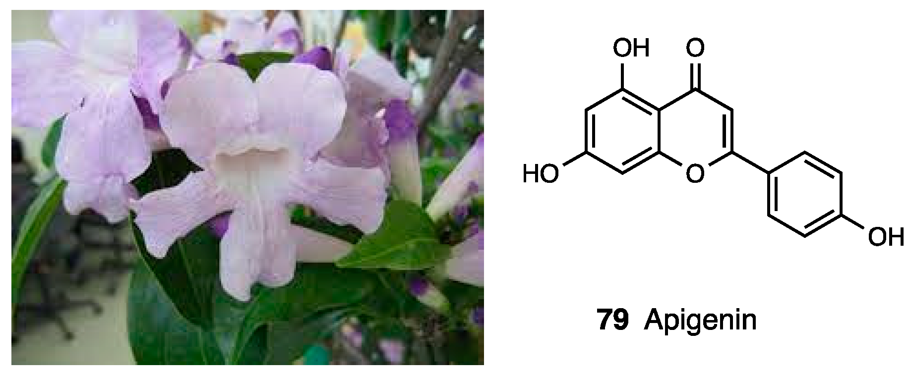 Molecules 28 07089 g035