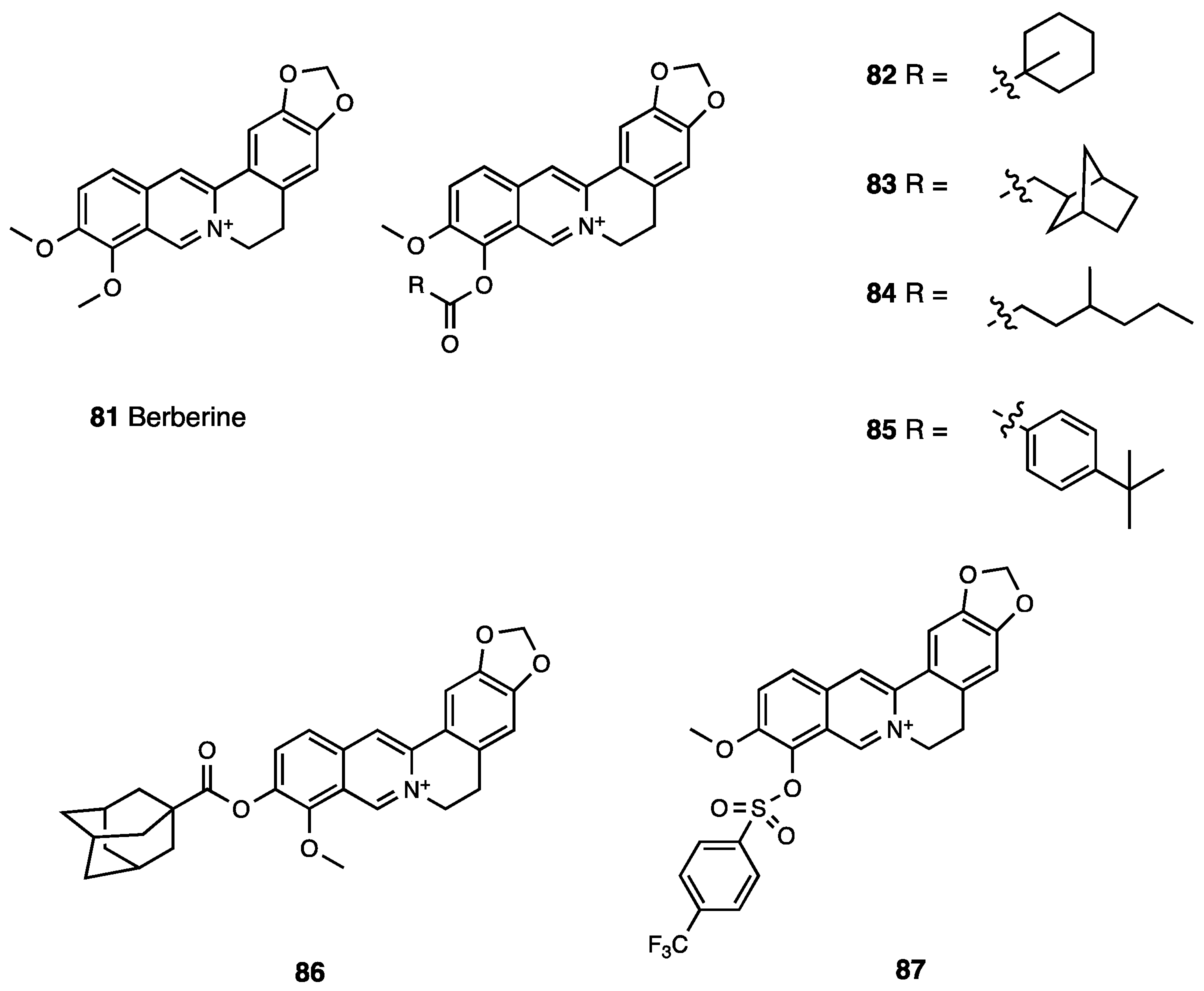 Molecules 28 07089 g037