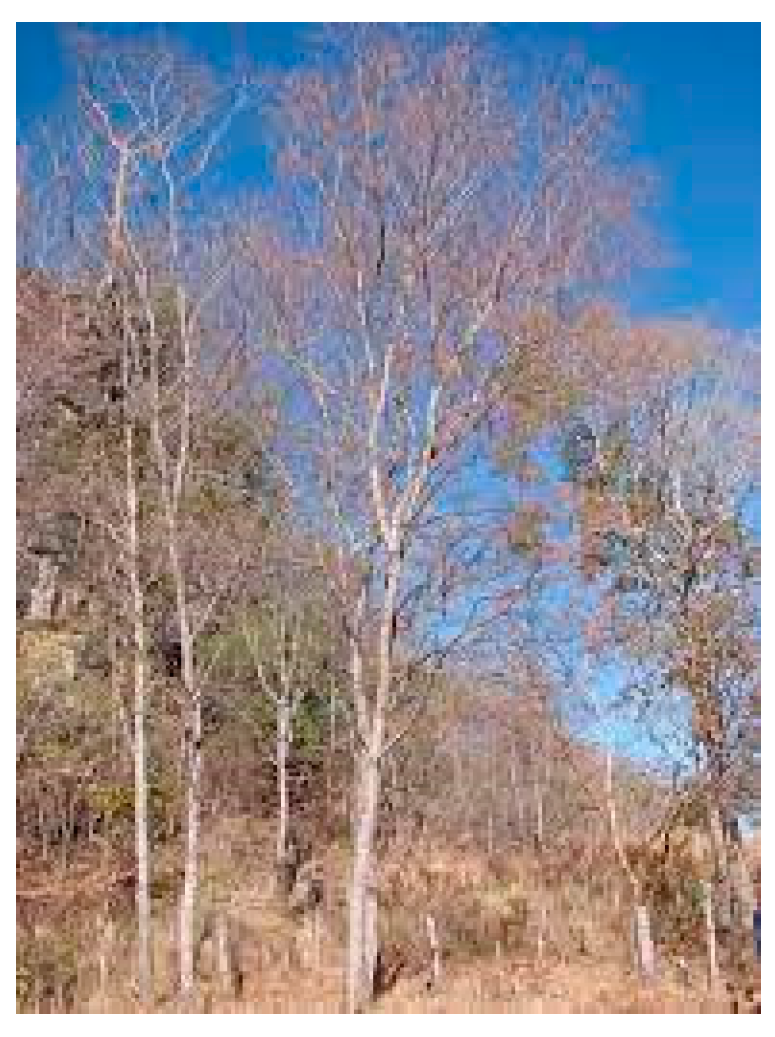 Molecules 28 07089 g041