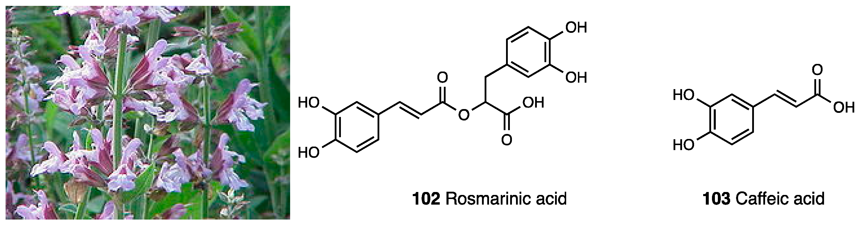 Molecules 28 07089 g048