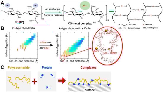 Molecules 28 07093 g006