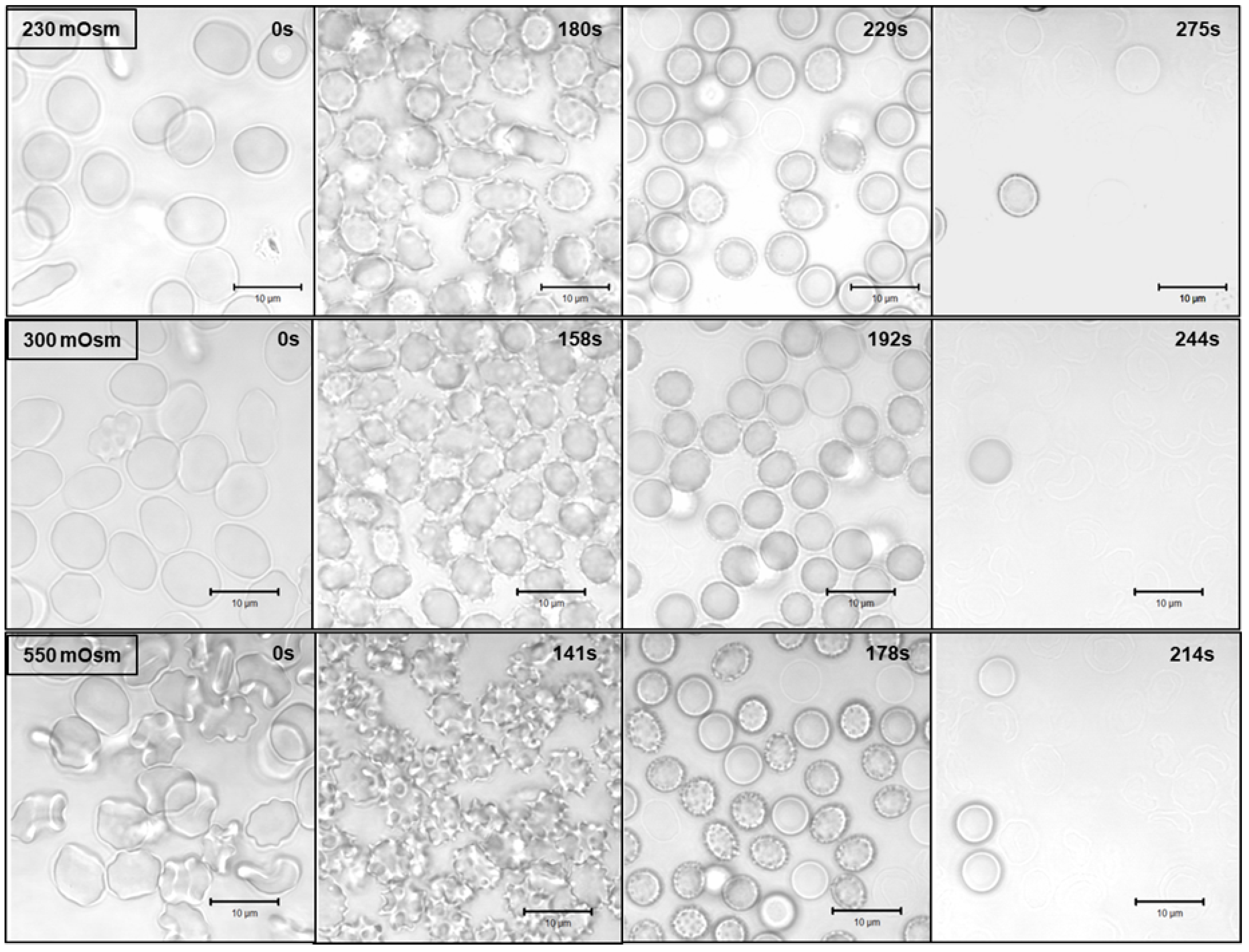 Molecules 28 07096 g003