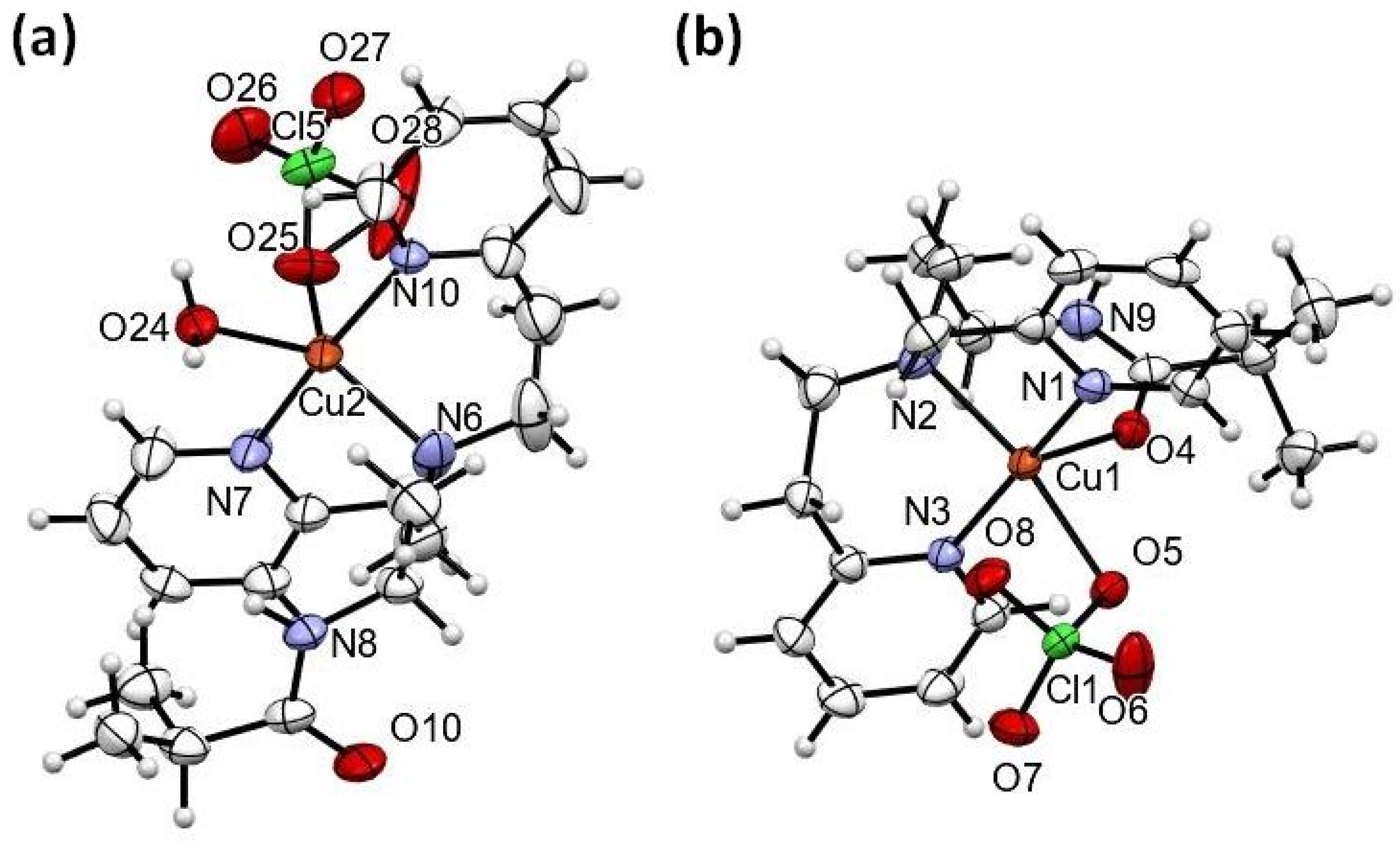 Molecules 28 07097 g003