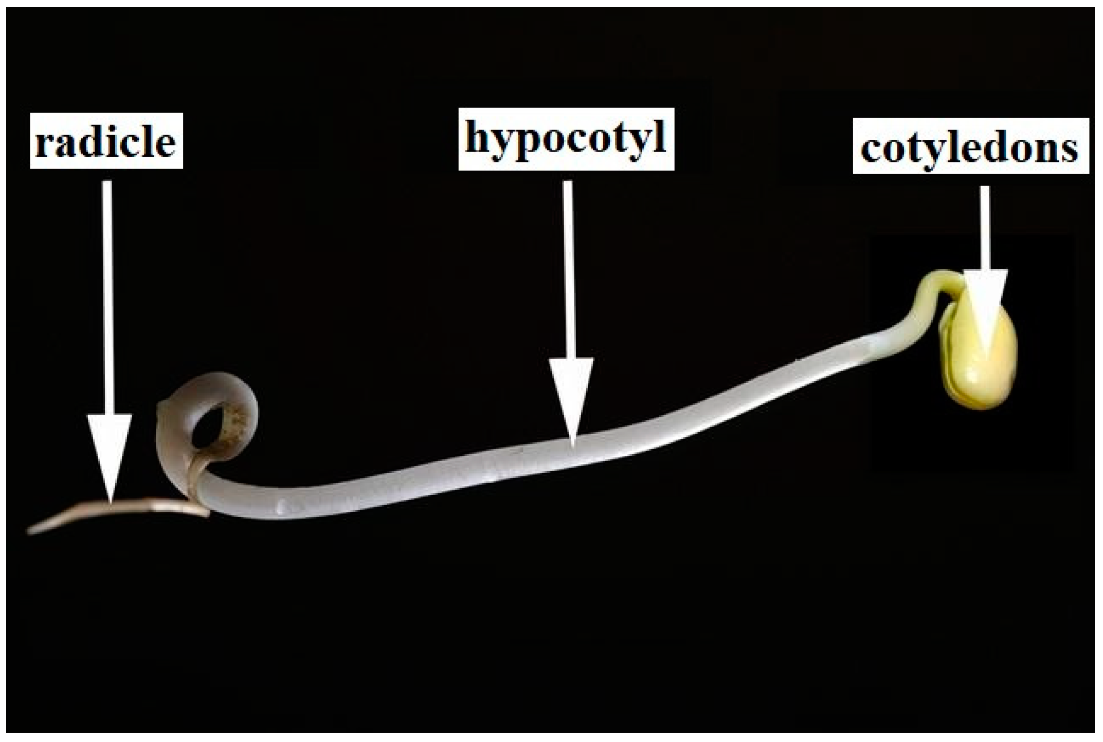 Molecules 28 07102 g006