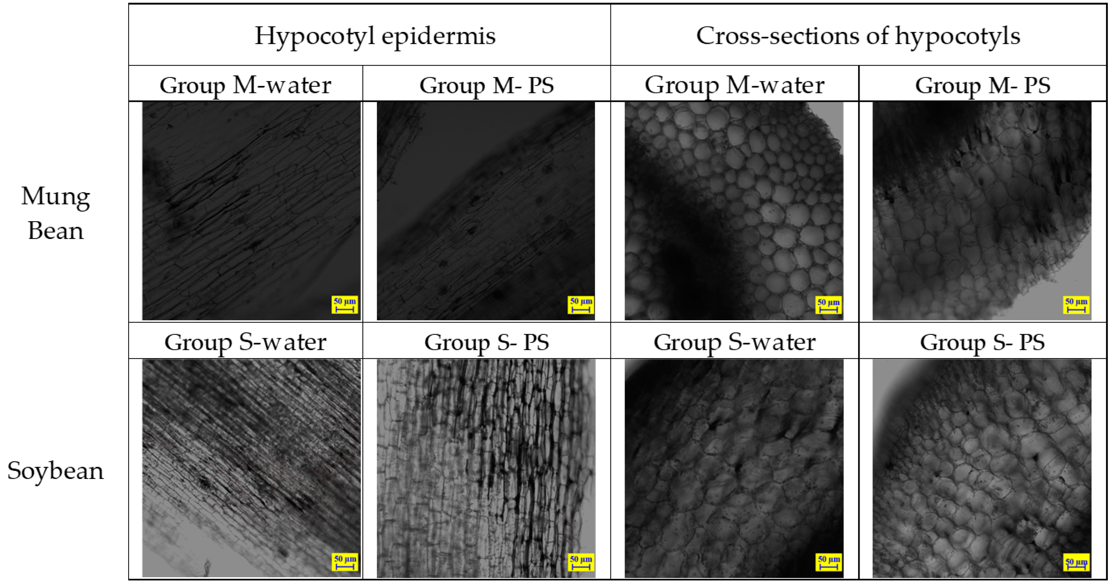 Molecules 28 07102 g007