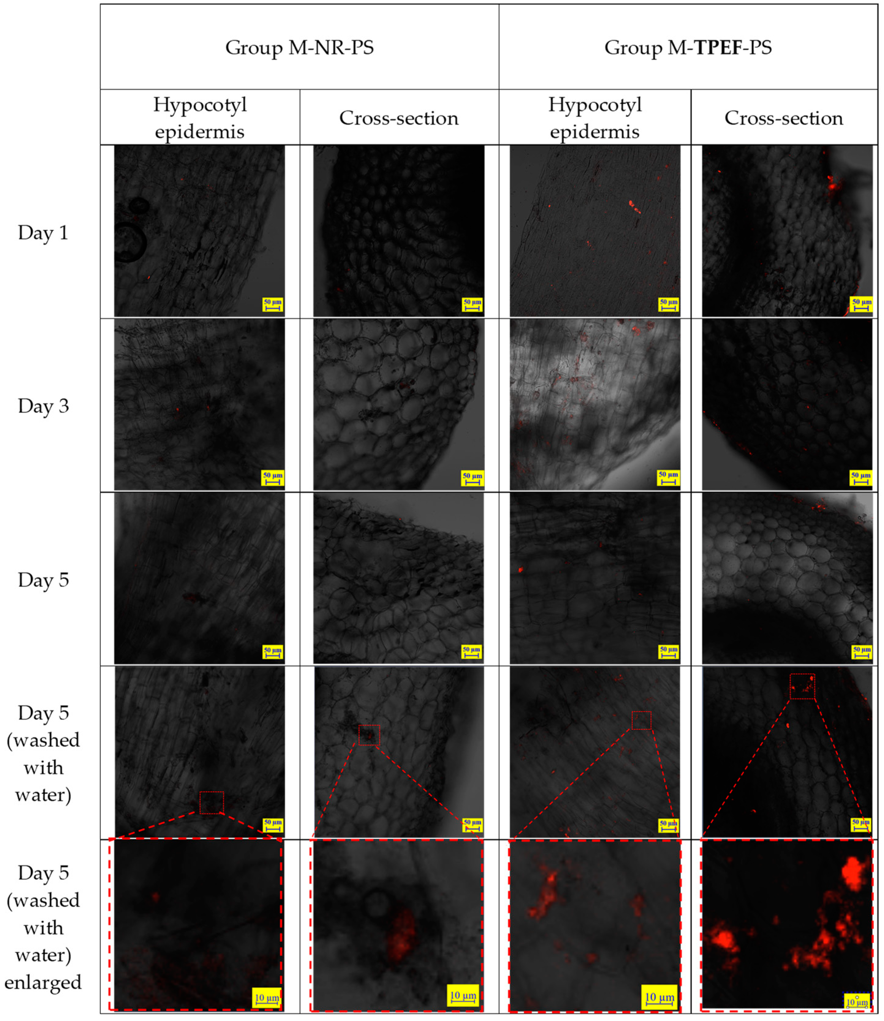Molecules 28 07102 g008