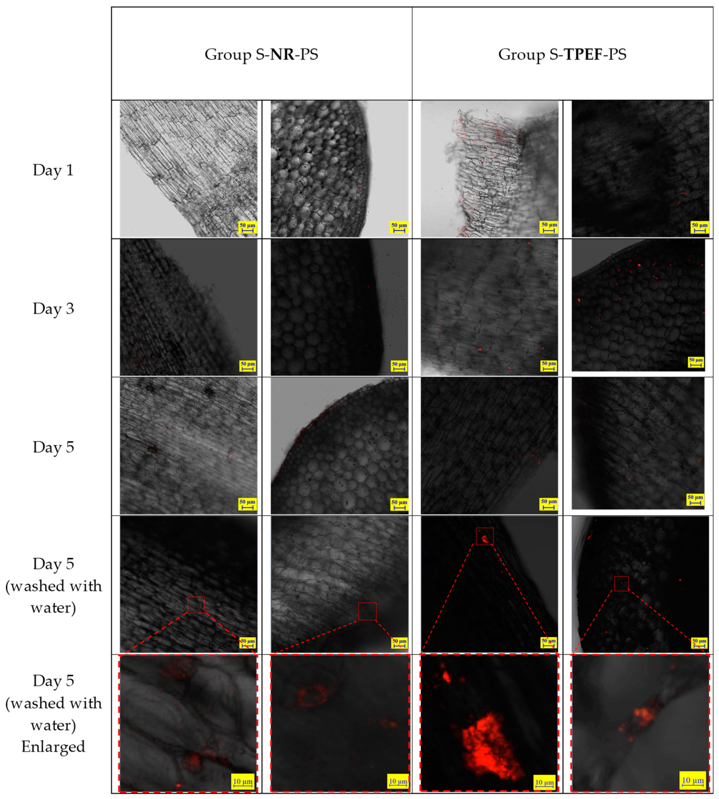 Molecules 28 07102 g009