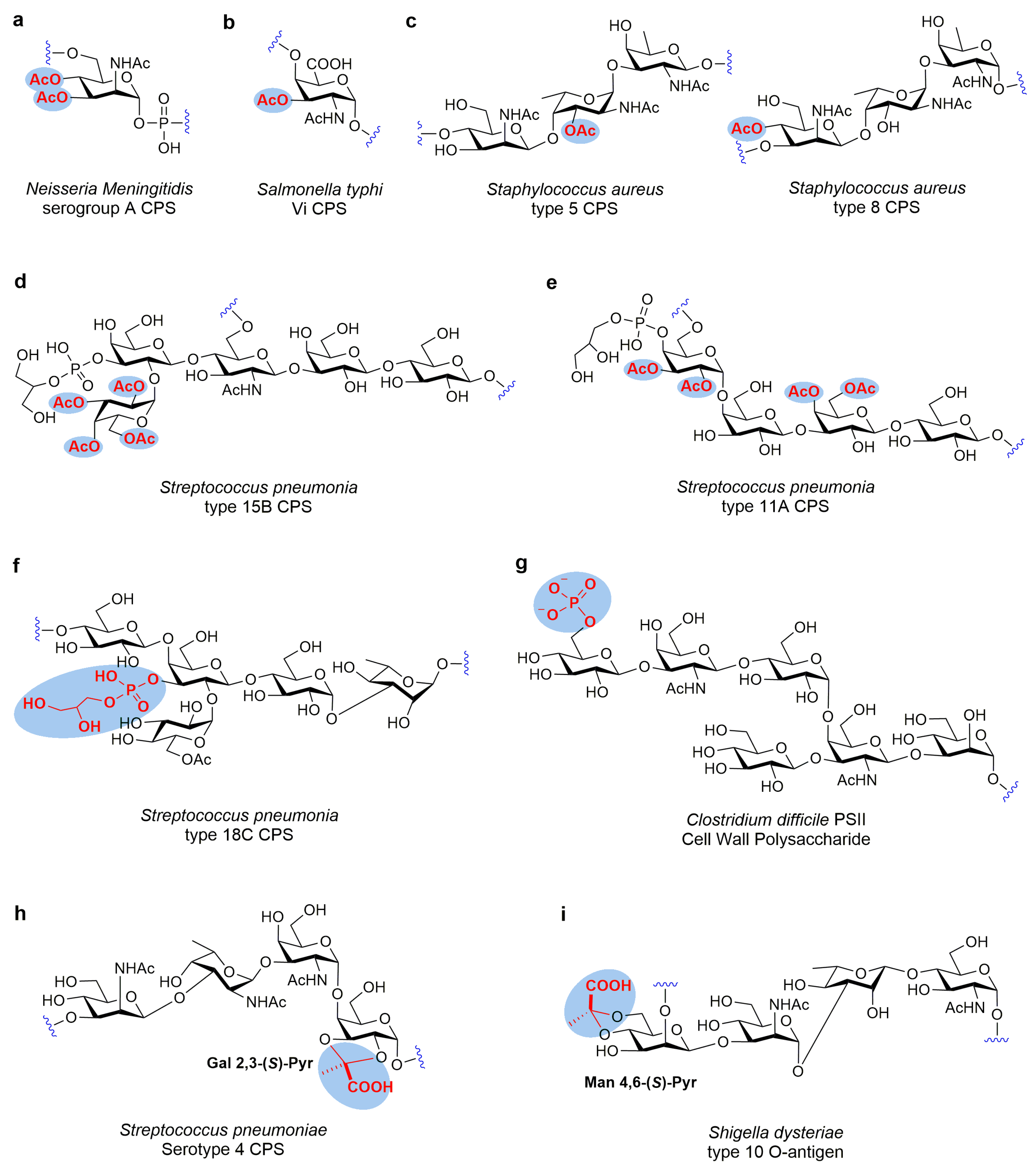 Molecules 28 07112 g001