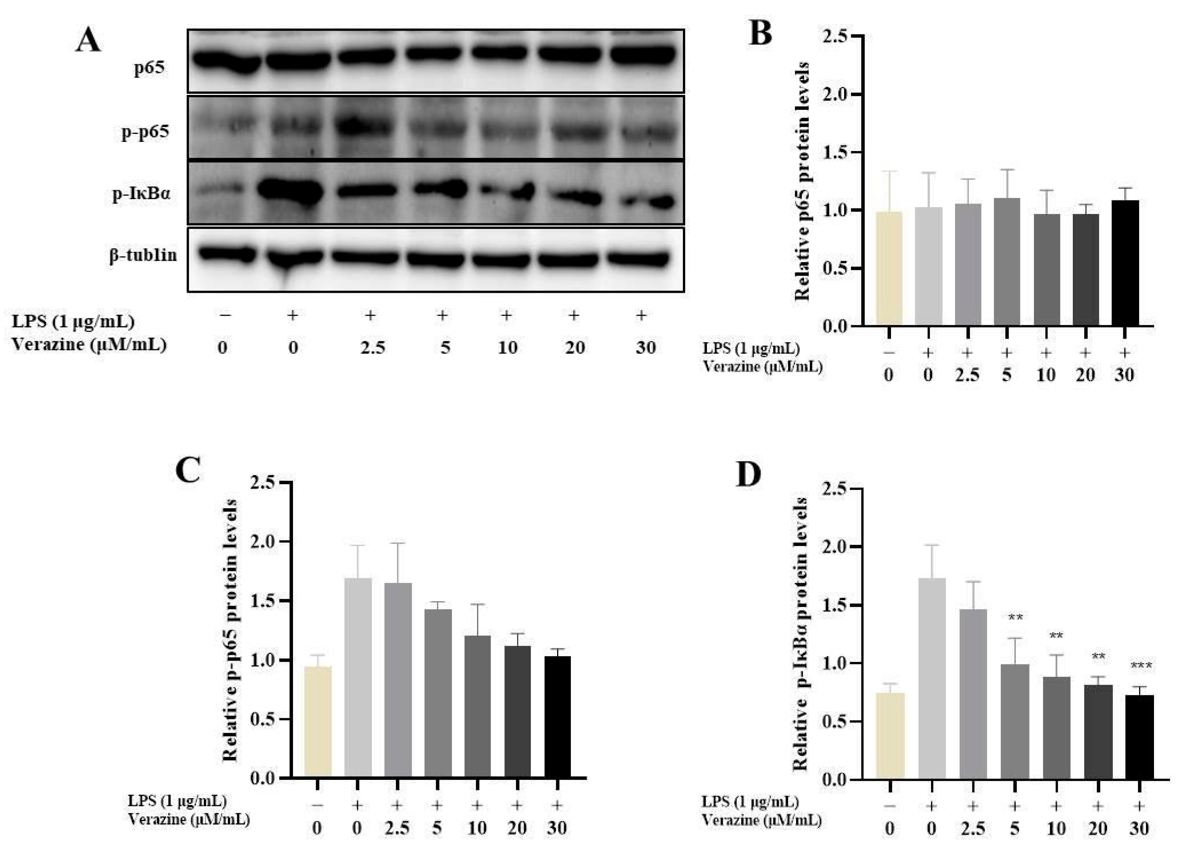 Molecules 28 07116 g006