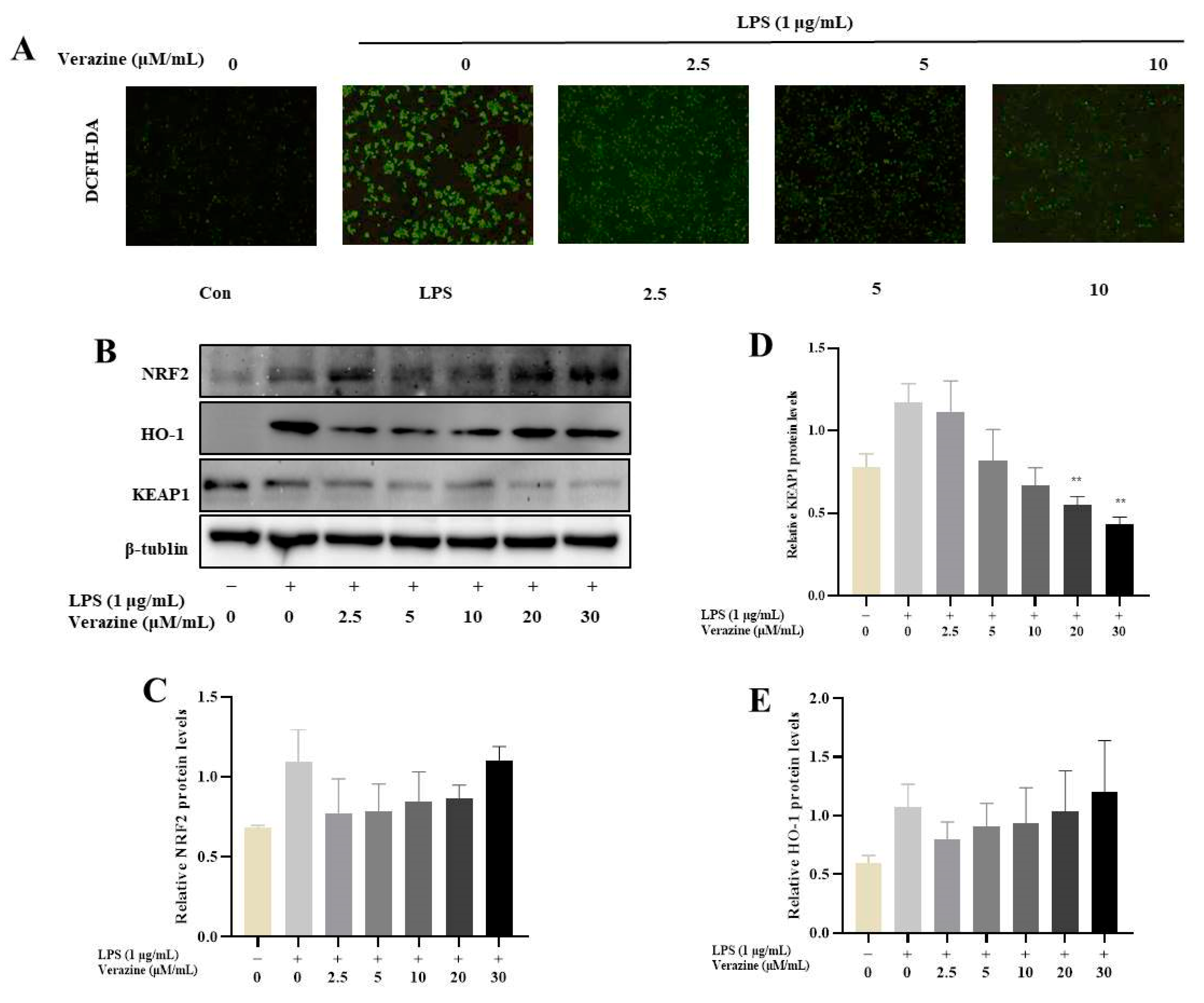 Molecules 28 07116 g007