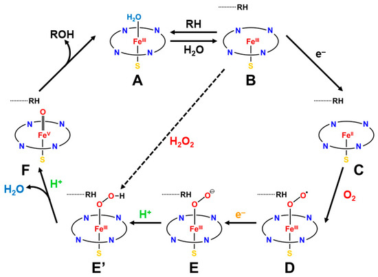 Molecules 28 07119 g001