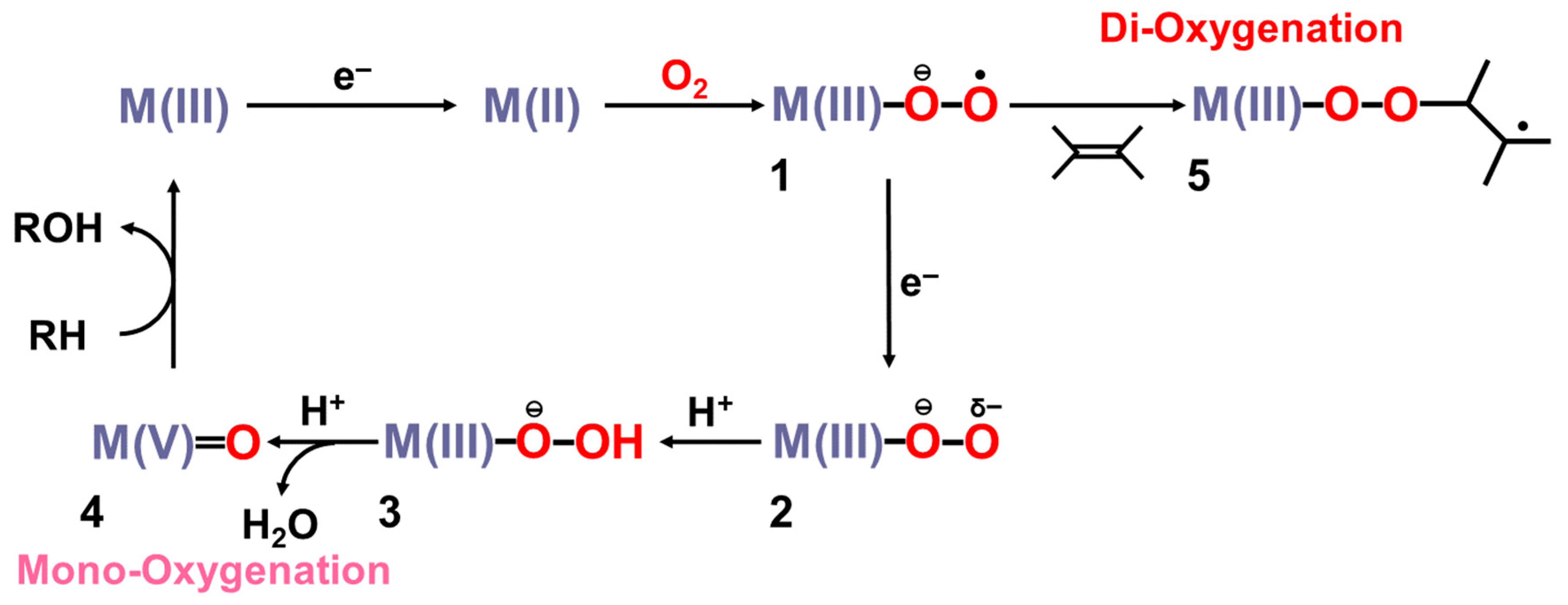Molecules 28 07119 g003