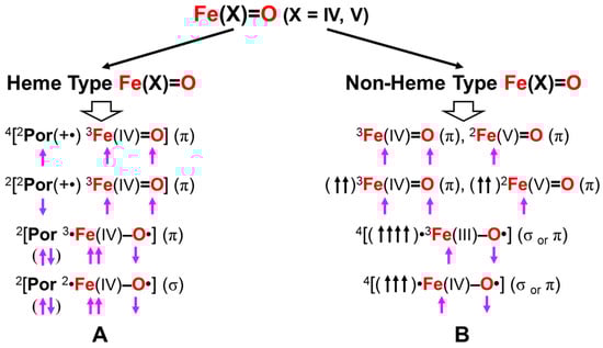 Molecules 28 07119 g016