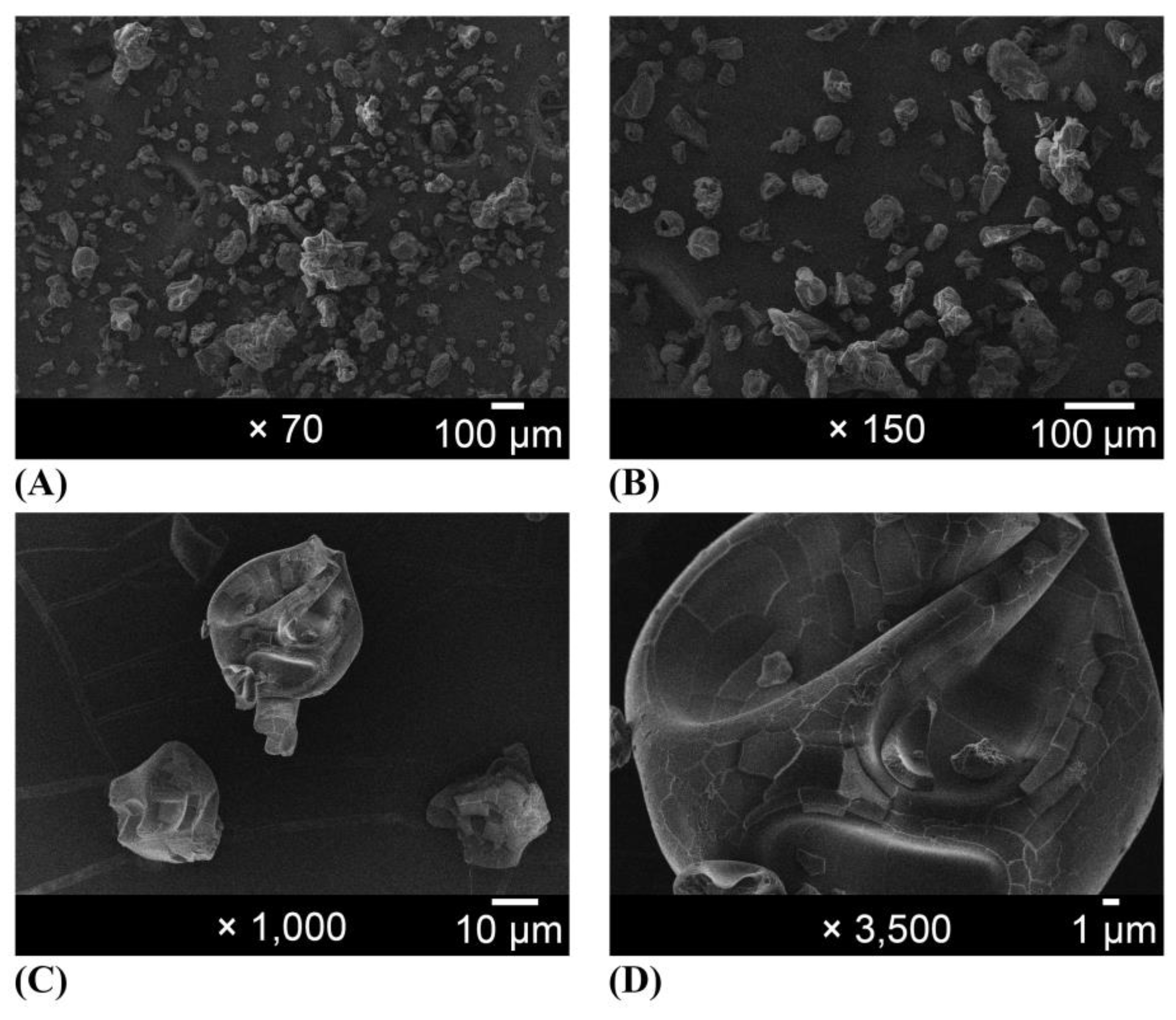 Molecules 28 07128 g002