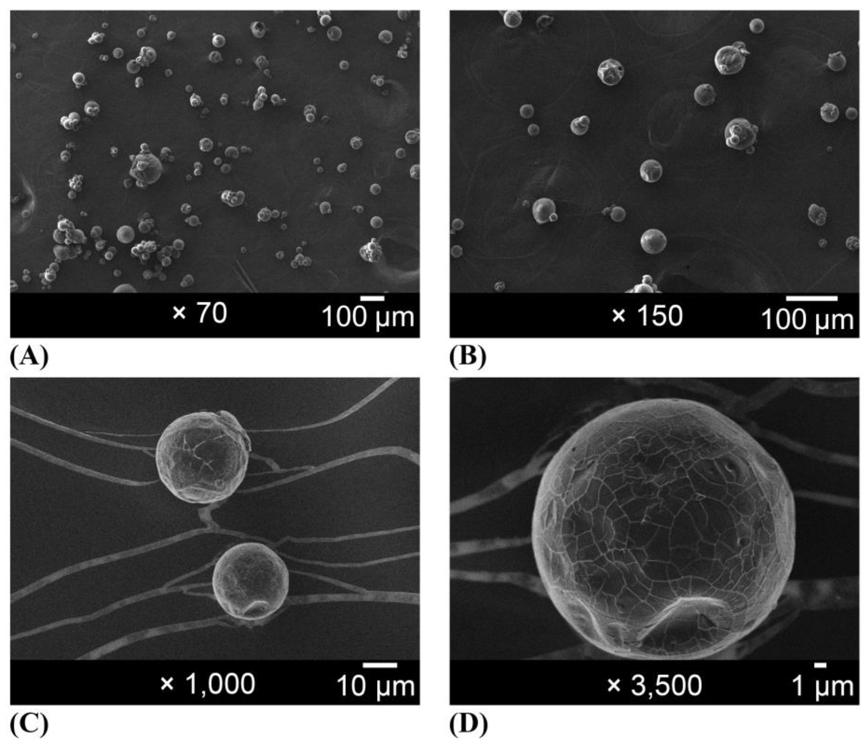 Molecules 28 07128 g003