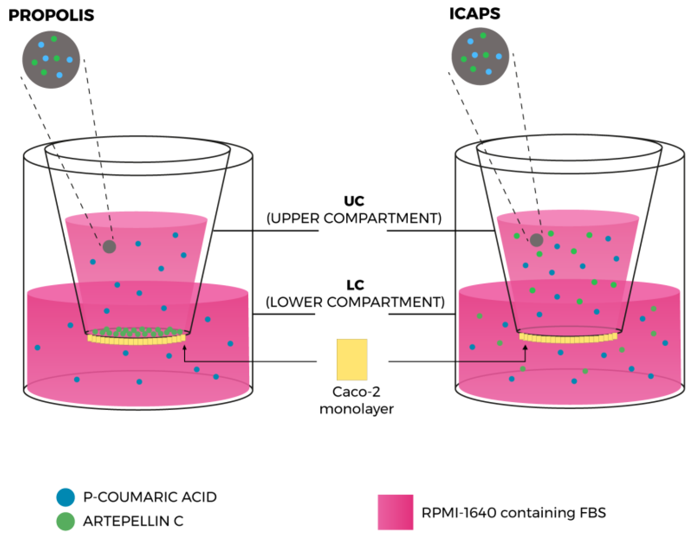 Molecules 28 07128 g007