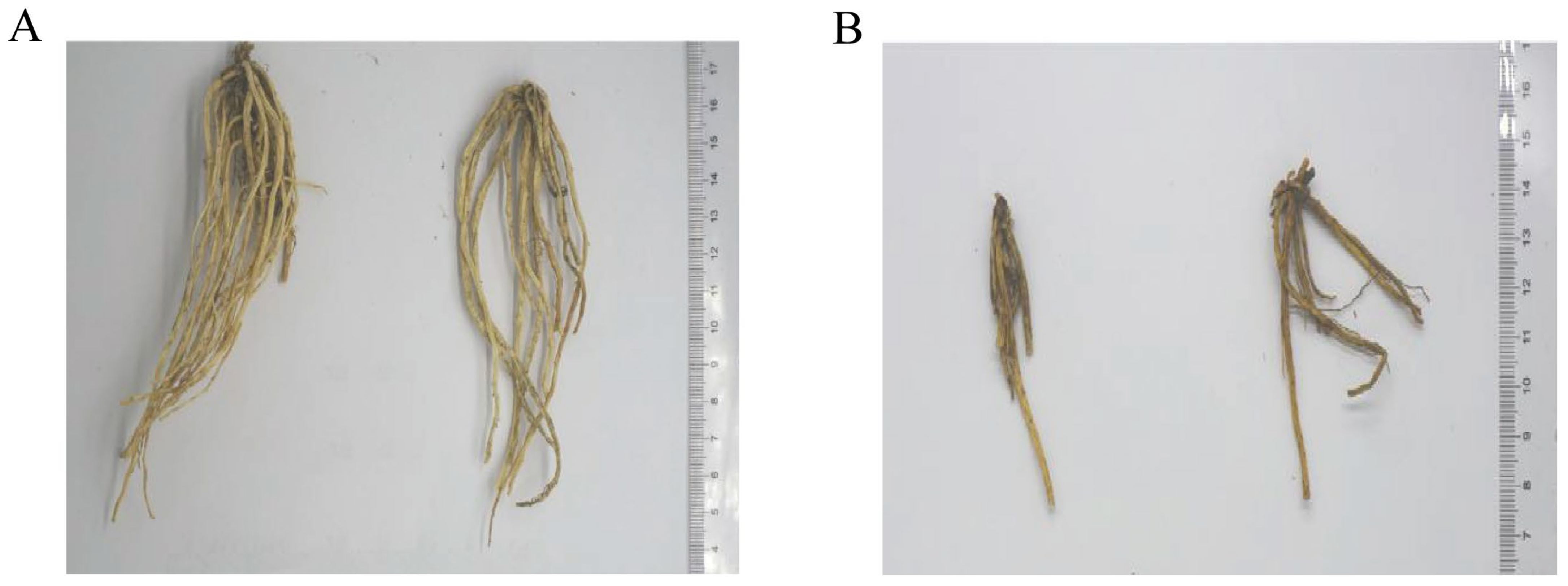 Molecules 28 07132 g001