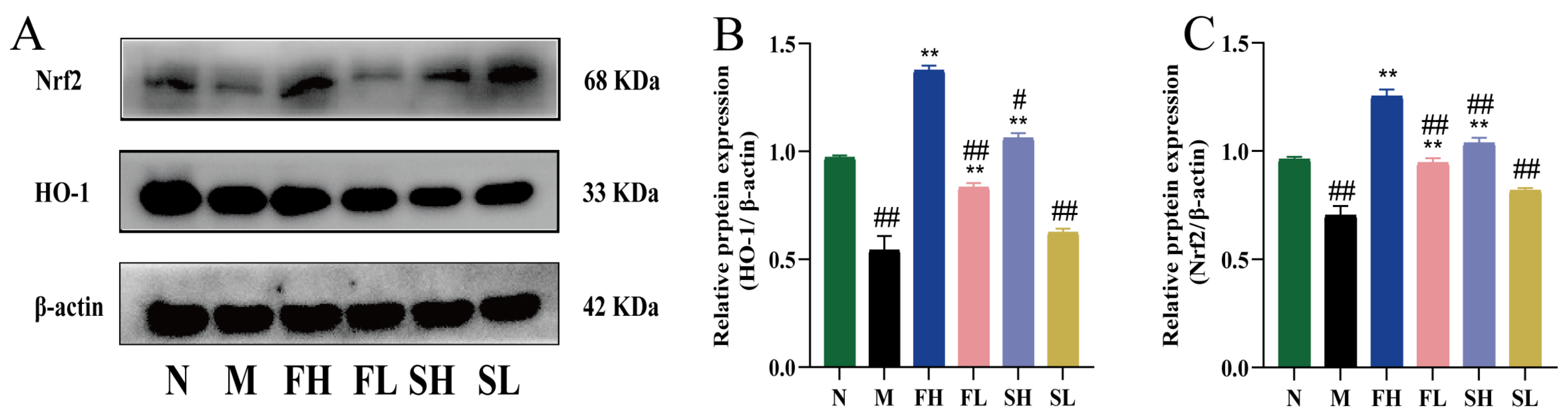Molecules 28 07132 g008