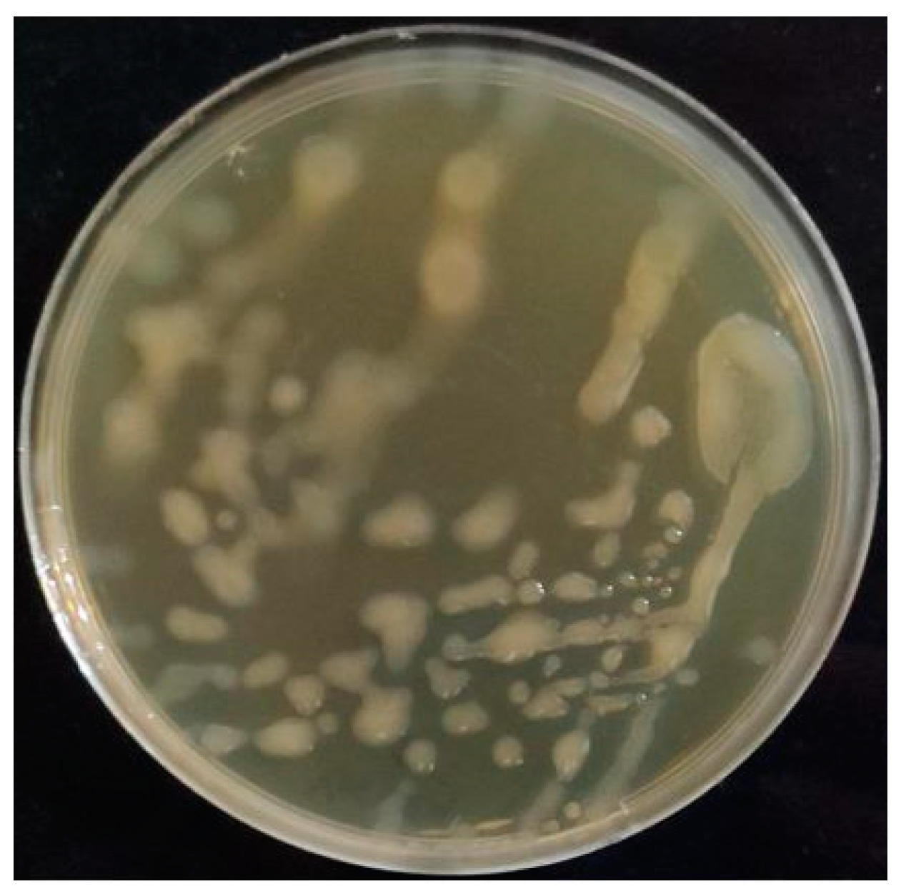 Molecules 28 07149 g001
